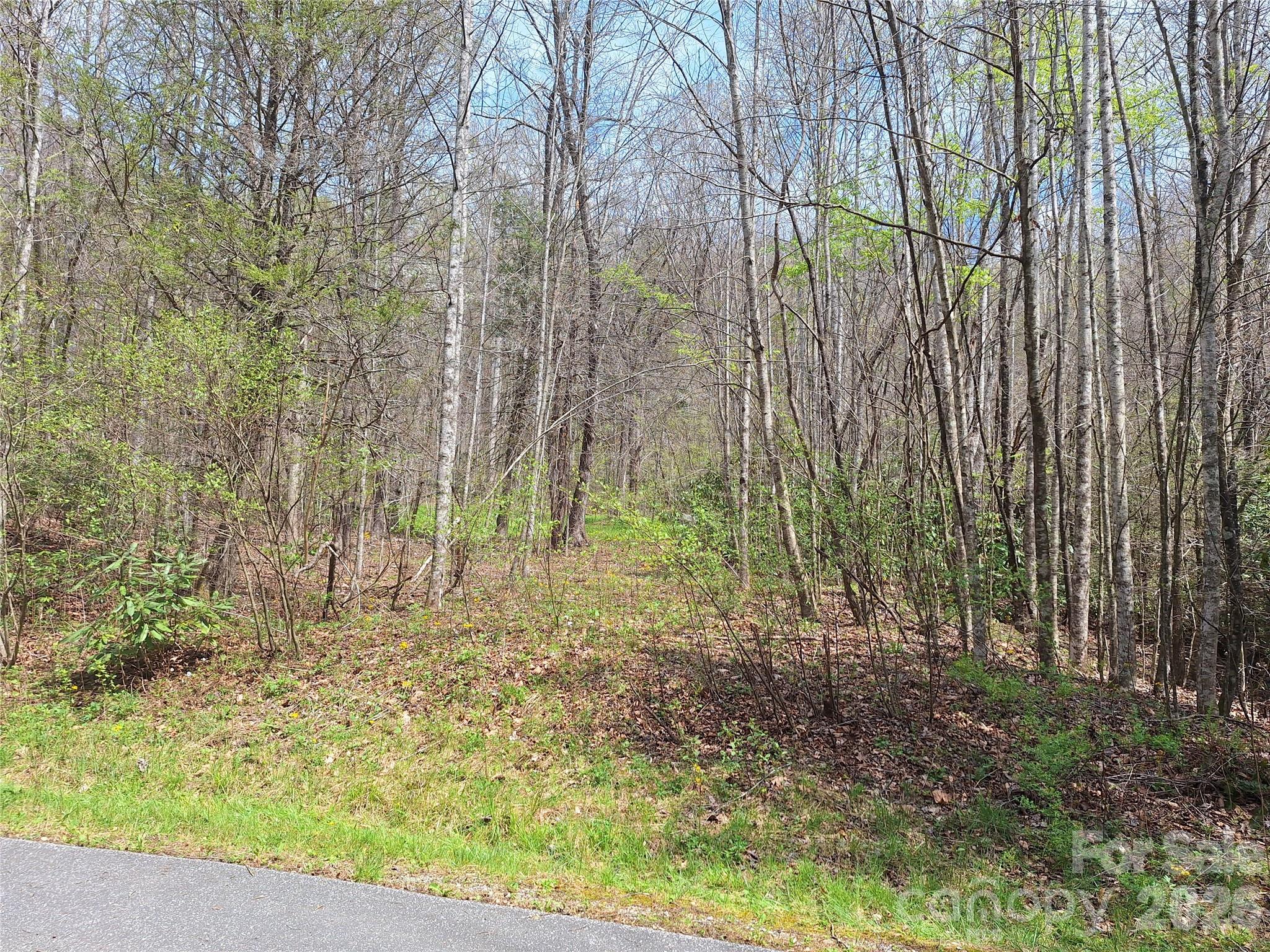 Gateway Mountain - Land