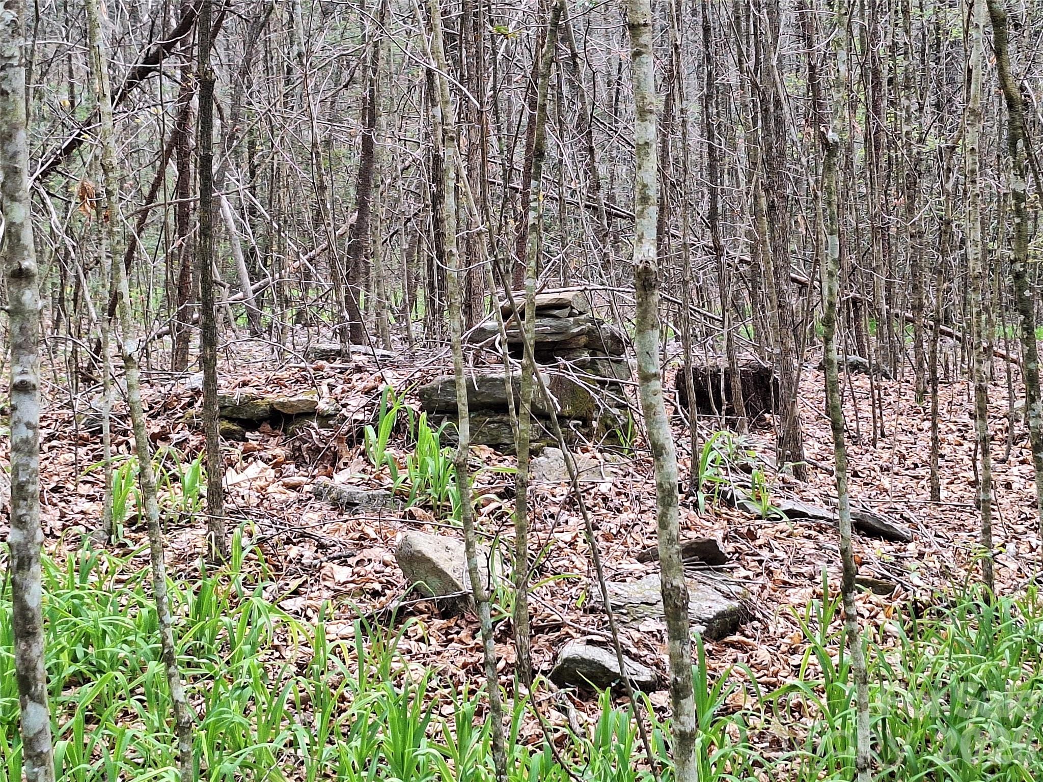 Gateway Mountain - Land