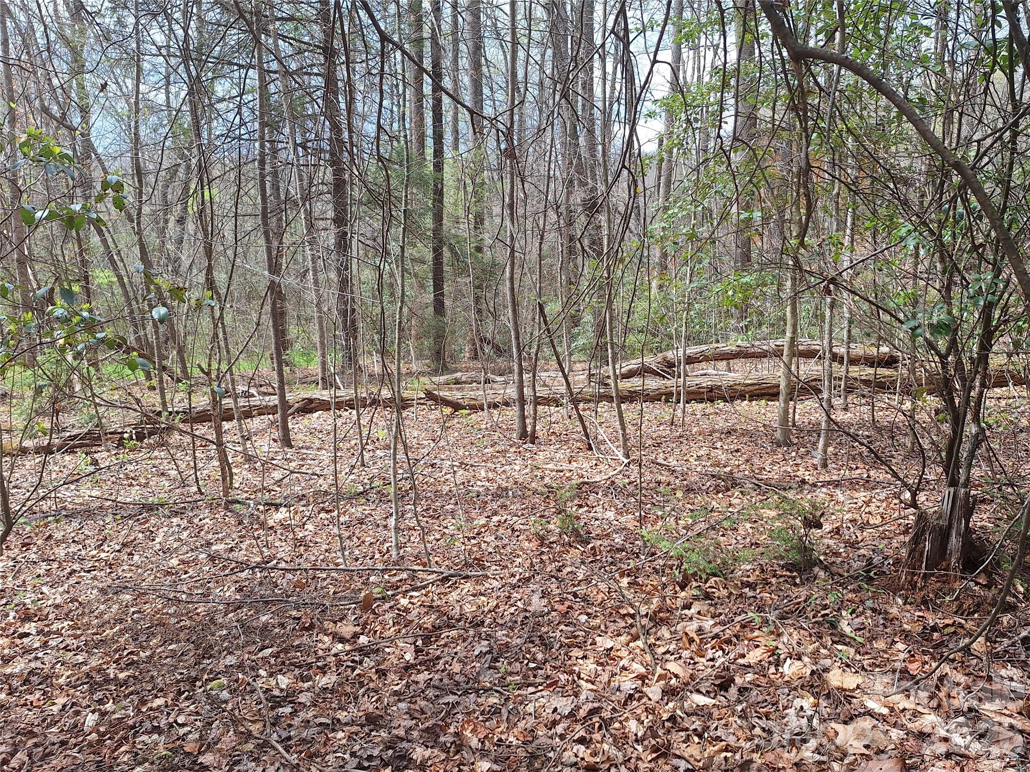 Gateway Mountain - Land