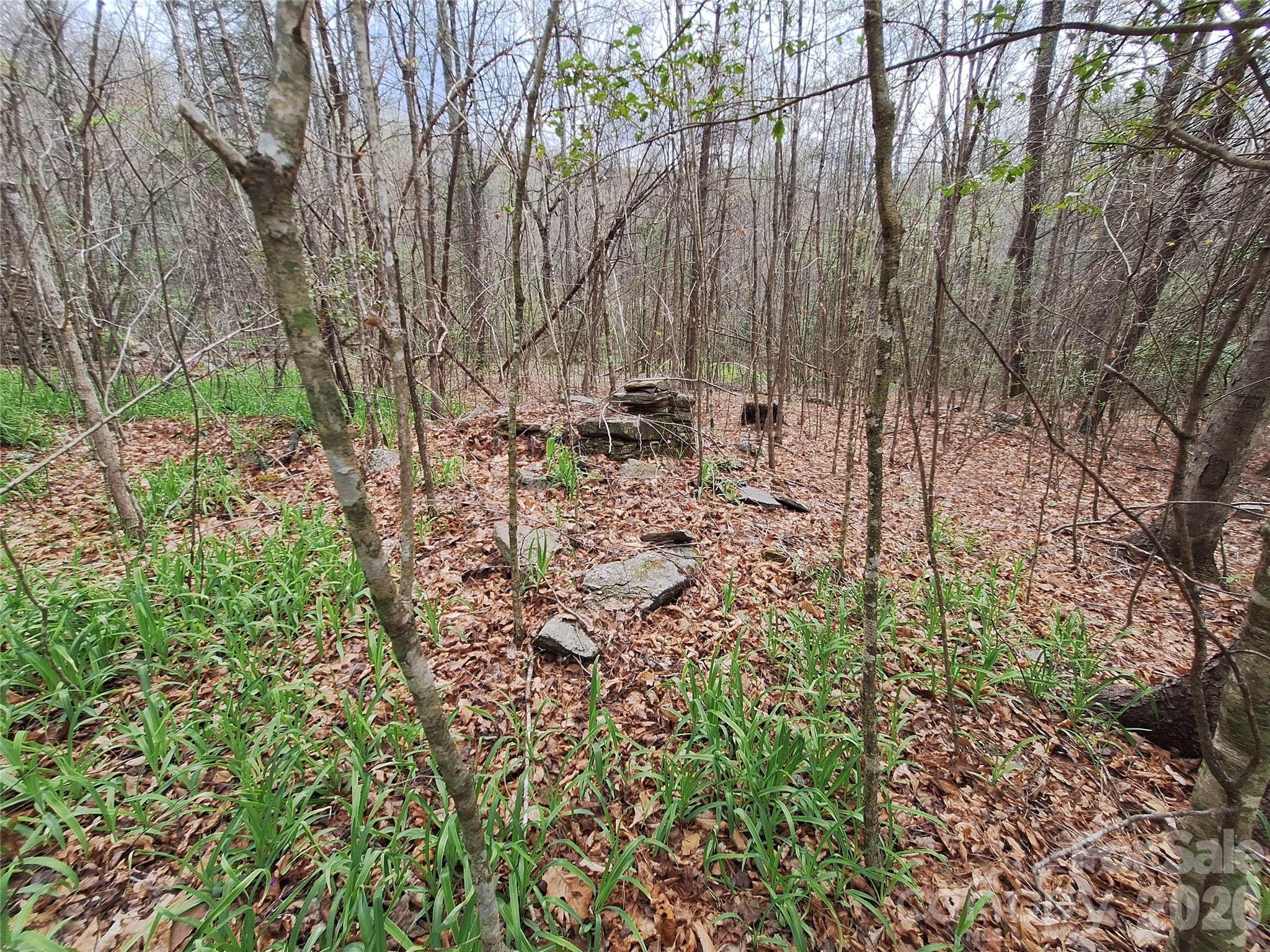 Gateway Mountain - Land