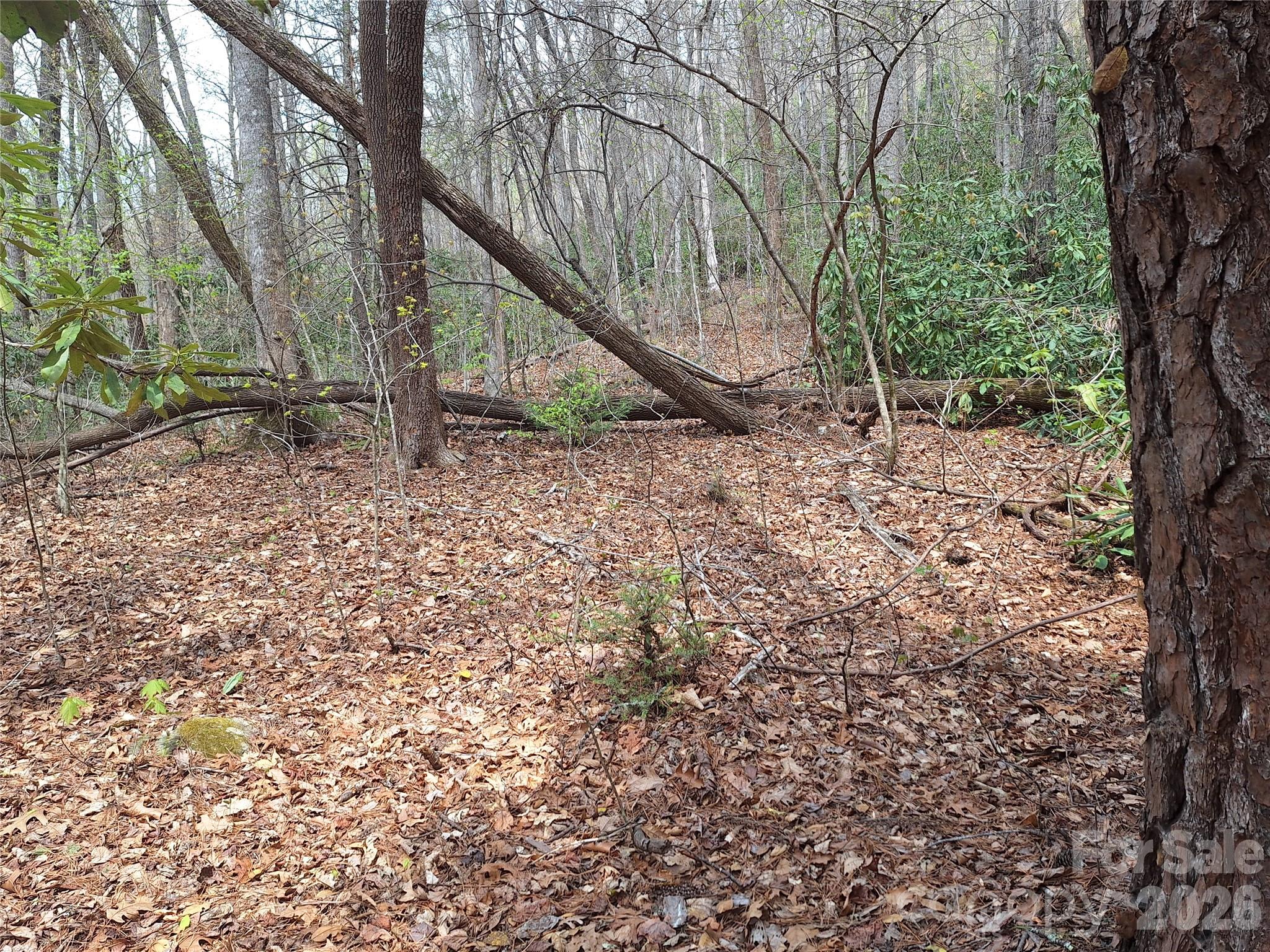 Gateway Mountain - Land