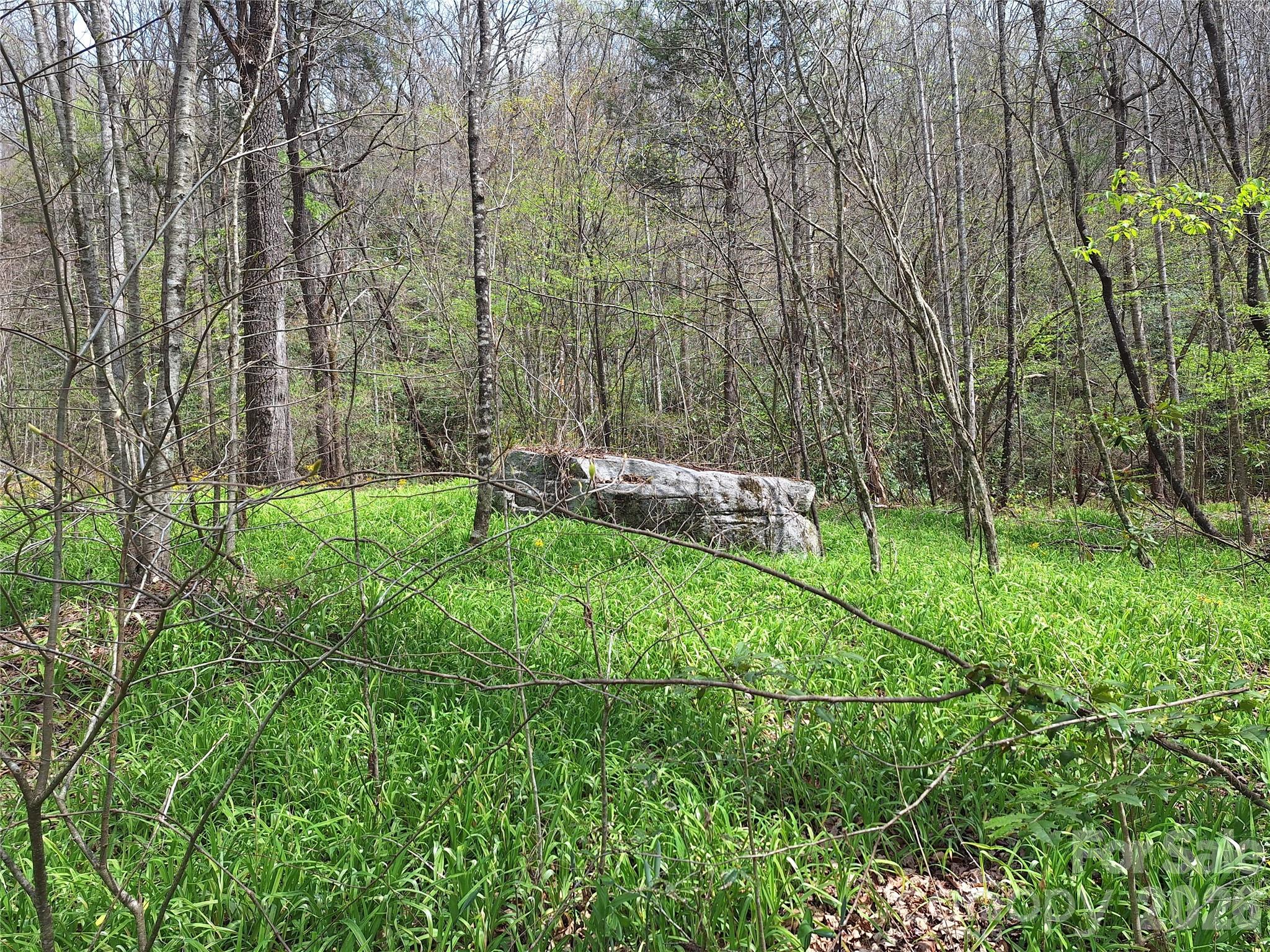 Gateway Mountain - Land