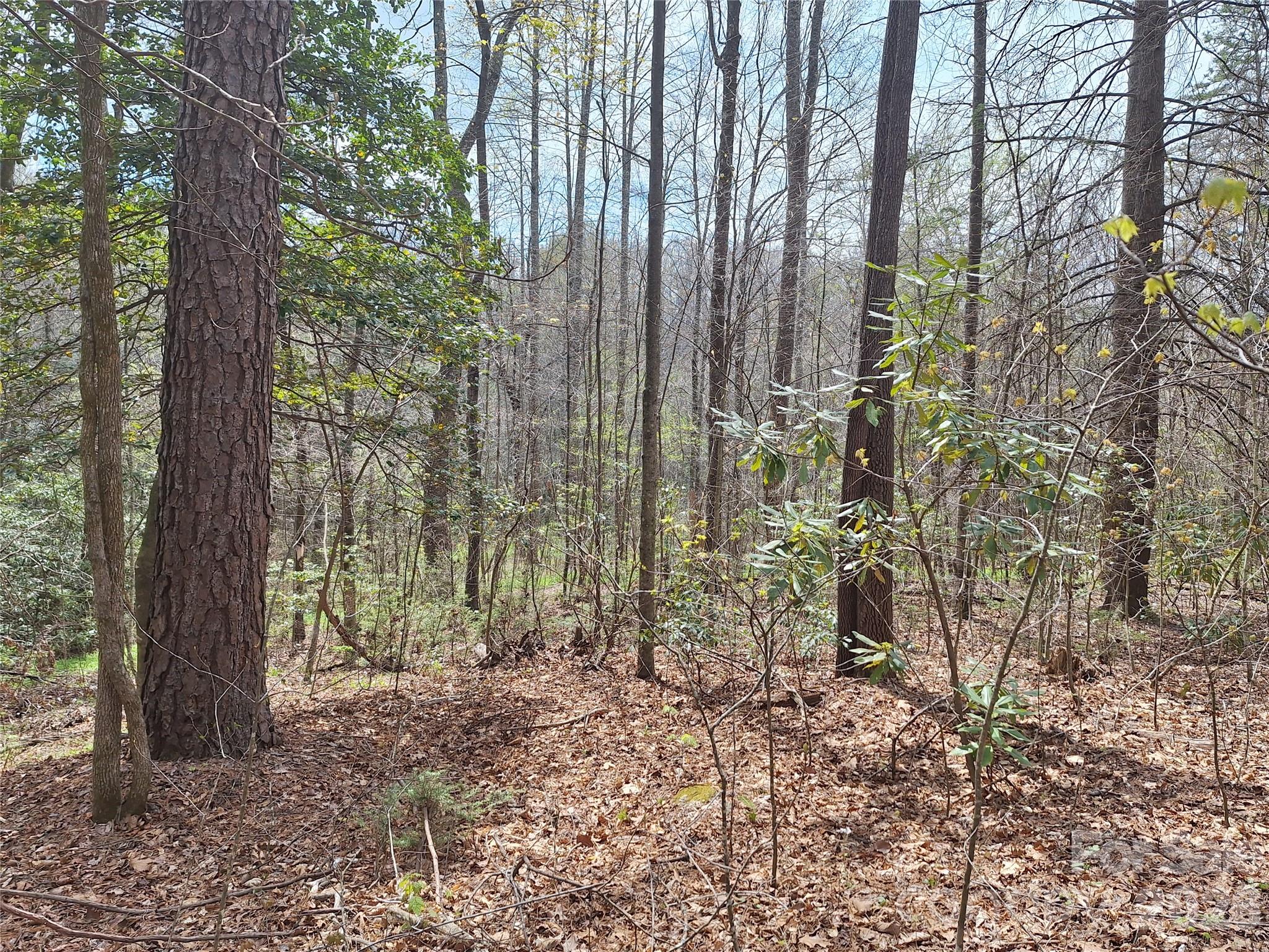 Gateway Mountain - Land