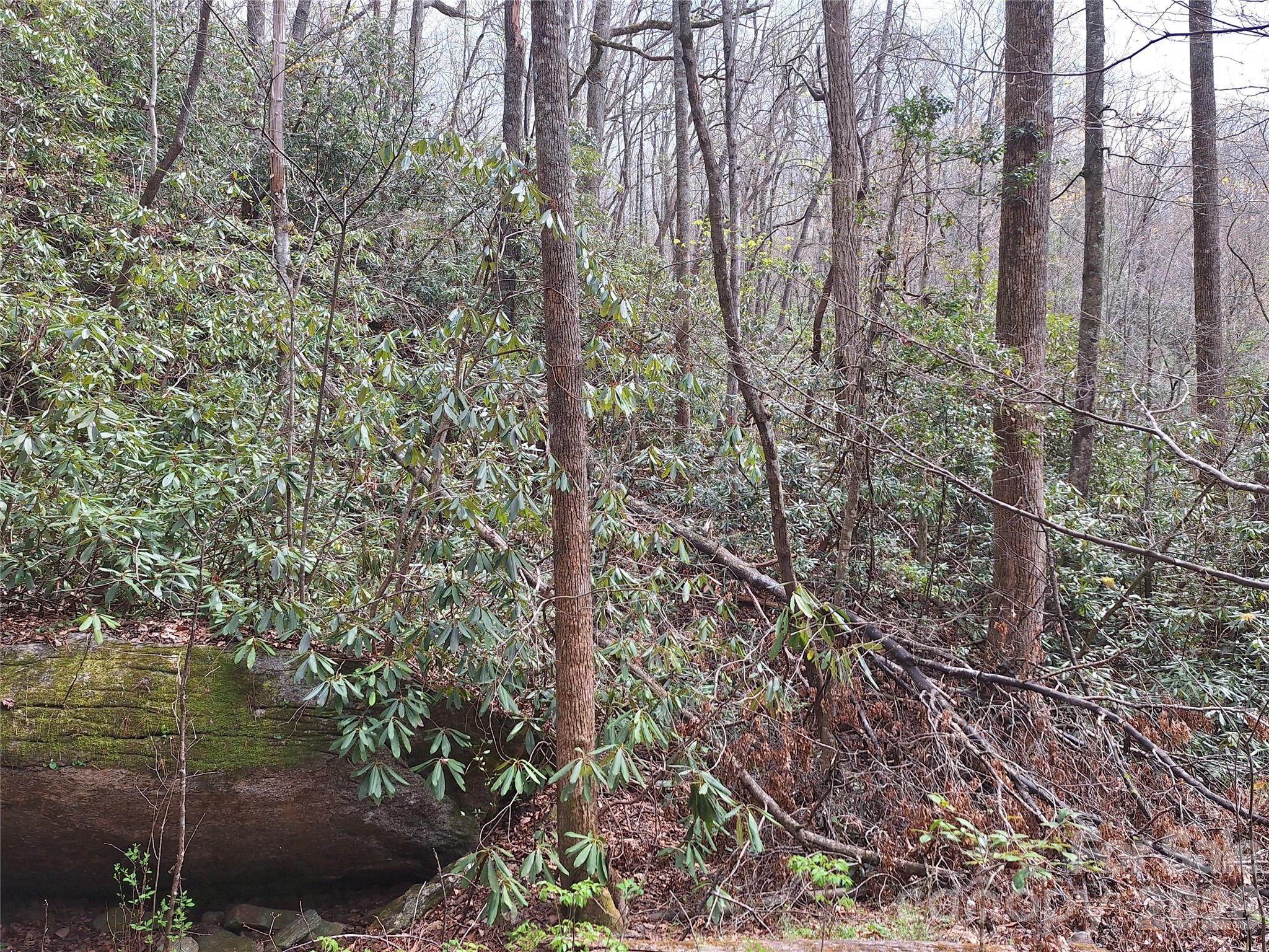 Gateway Mountain - Land