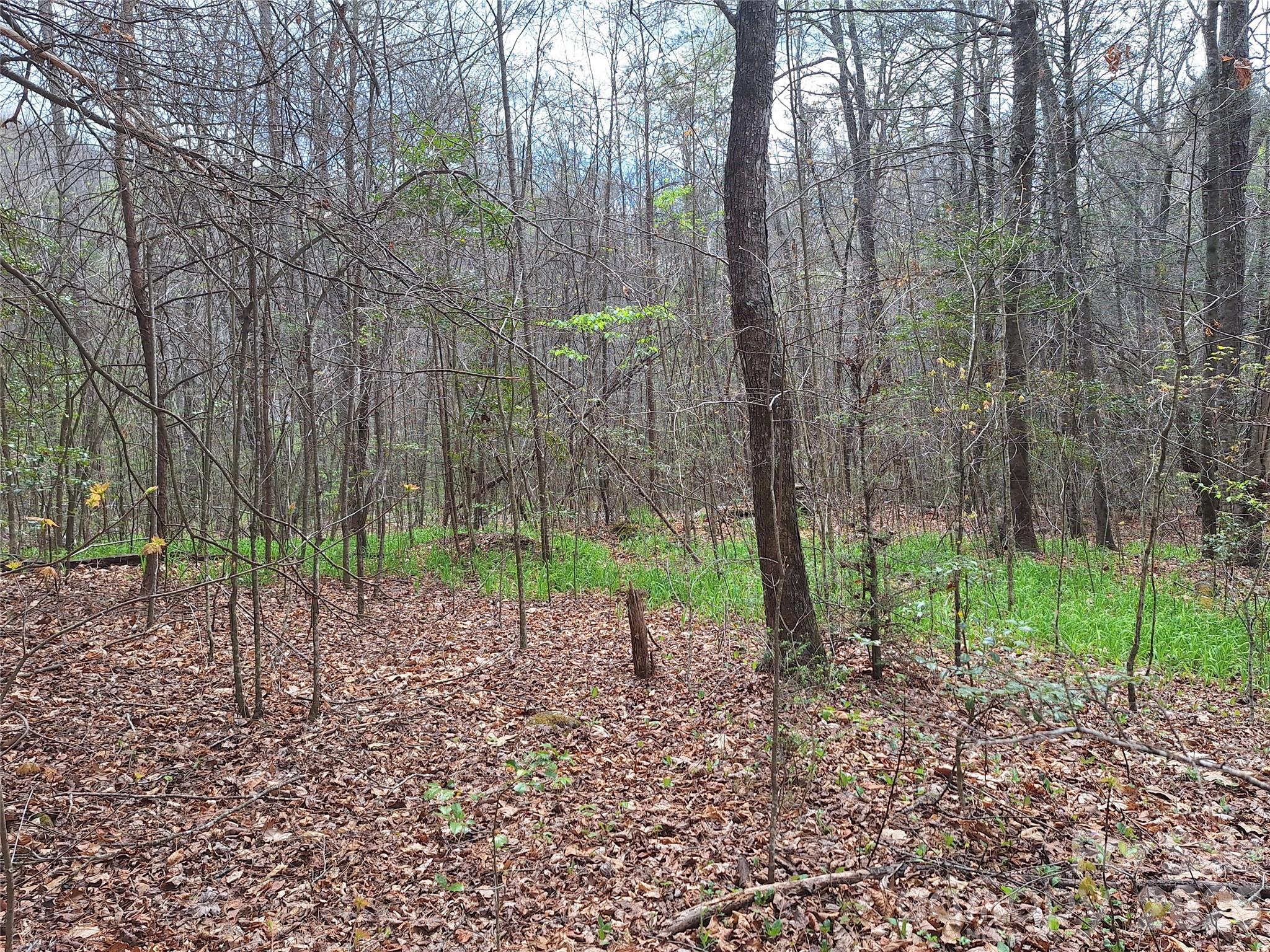 Gateway Mountain - Land