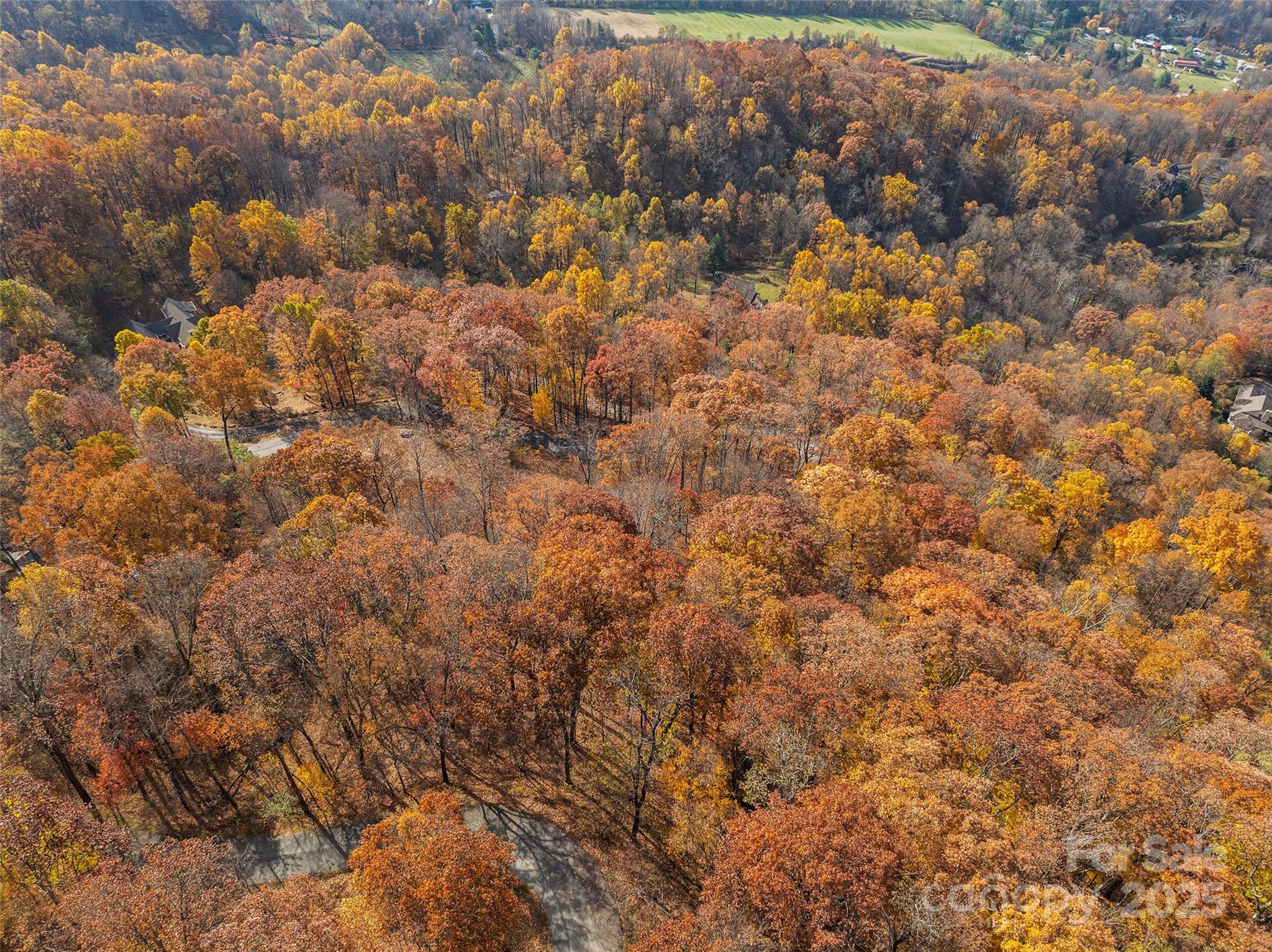 Smoky Mountain Sanctuary - Land