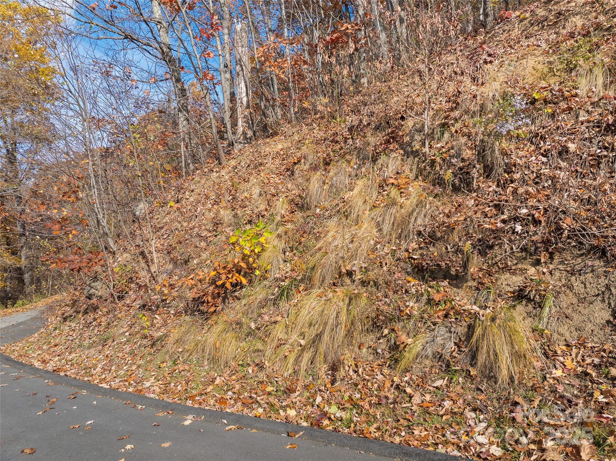 Smoky Mountain Sanctuary - Land