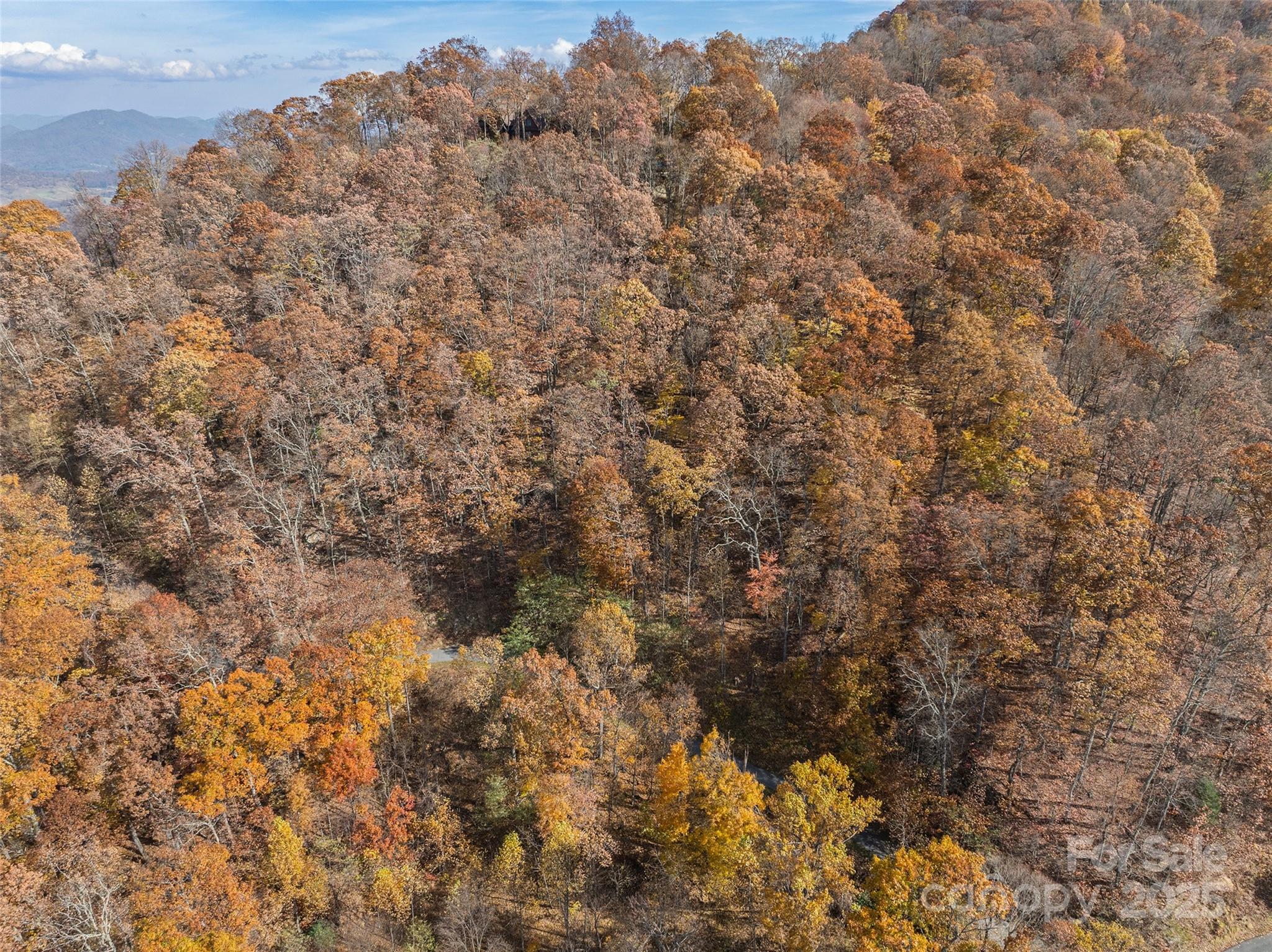 Smoky Mountain Sanctuary - Land