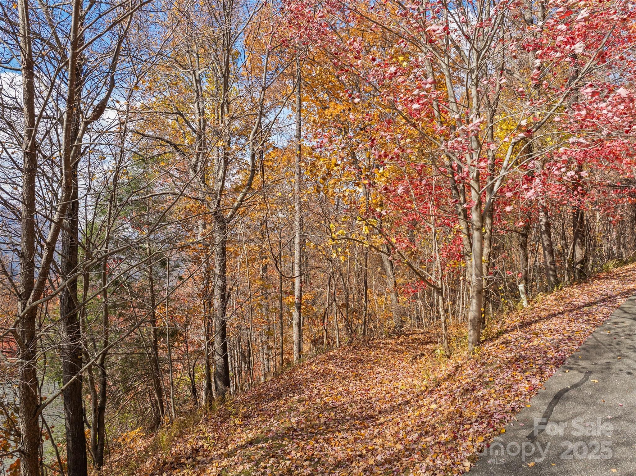 Smoky Mountain Sanctuary - Land
