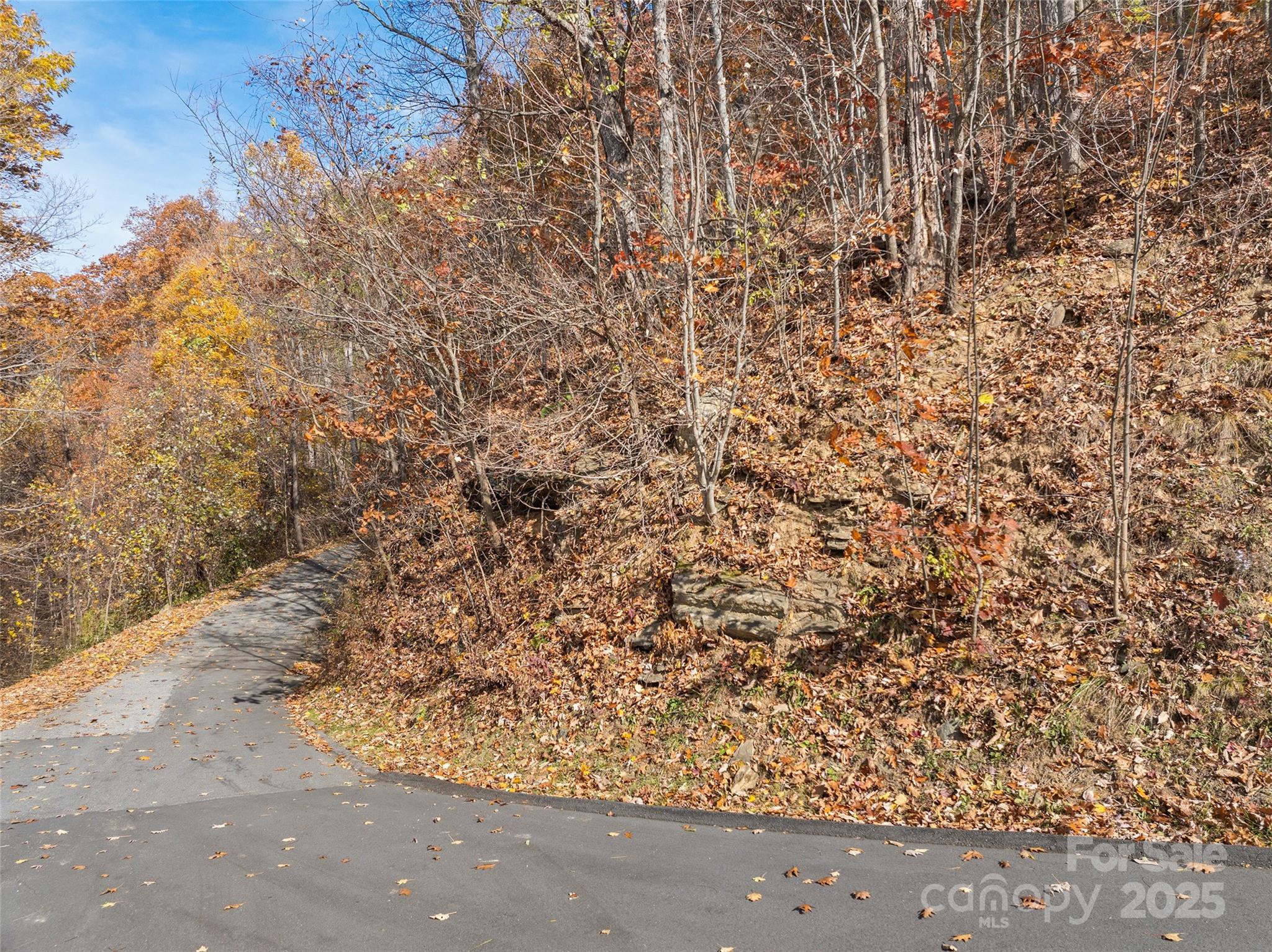 Smoky Mountain Sanctuary - Land