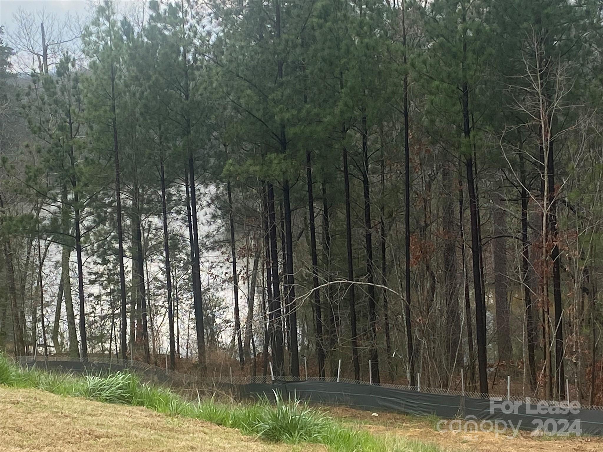 the mills at long creek - Residential Lease