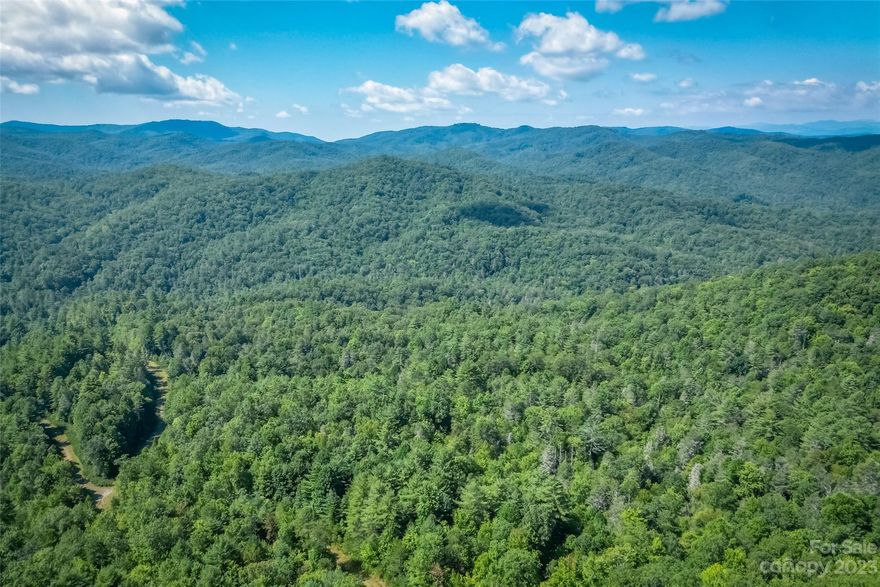 150 + or - Acres in one of Transylvania County's best locations. Surrounded only by the sounds of nature and picturesque south facing mountain views. Approx. 5,000 linear ft of road improvements. Located about 12.9 miles from downtown Brevard. The extensive road work was previously done by a developer to county specs with over 50 platted lots. The previous owner removed the lots and all the covenants so the new owner could have completely unrestricted property. There is also a road to the very top of the property with an incredible knoll with 360 degree view potential. Views overlooking Headwaters Sate Forest to the South and also long range Blue Ridge Parkway views to the NW. The opportunities for this land are extensive with many homesites and a large mountain level area about halfway up the property for a picturesque barn, field, or homesite. Across the entrance to the property serves as East Fork River headwaters. Don't let this opportunity slip by! Schedule your showing today!