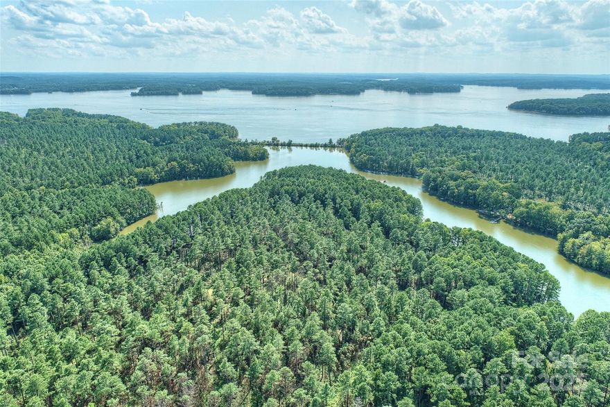 Stunning lakefront paradise - SIGNIFICANT PRICE IMPROVEMENT! Rare opportunity to own 434.5 acres of pristine lakefront land in the growing city of Lexington in Davidson county. Be in harmony with nature in this secluded estate on High Rock Lake, the 2nd largest lake in North Carolina. Featuring breathtaking views, along with a tranquil private lake surrounded by mature trees. Located just an hour from Charlotte and in within Piedmont Triad, this expansive parcel promises a blend of natural beauty and convenient access to main axes of transport. Build your dream estate, develop a waterfront community or a recreational retreat and let the Lake nurture your needs. Brochure available on demand.