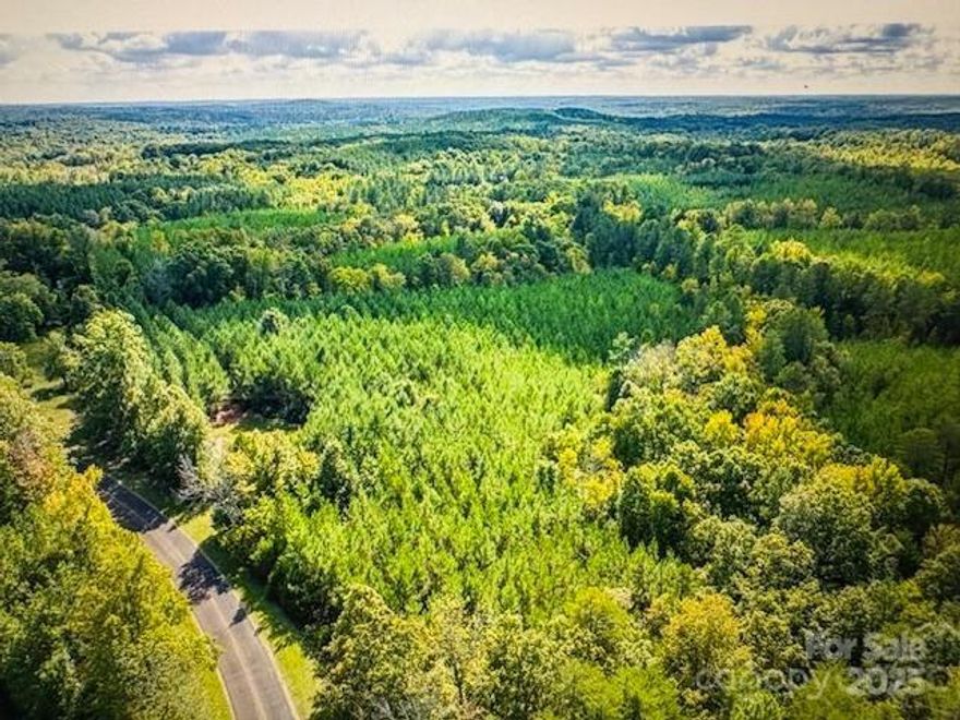 Welcome to York County! Discover this private land tucked away in the woods with 600 ' +/- Paved County Rd Frontage ! Offering a peaceful retreat, abundant wildlife and beautiful forestry ! This property presents a fantastic opportunity for outdoor recreation, potential income, timber harvesting, hunting, or even building your dream home or dream homes ! We believe the property could be subdivided at least once possible more, no guarantees, please check with the County for any requirements if that's your future plans before submitting an offer. Because of 2 new homes going in across the street, we believe that the soil quality is suitable for septic systems, and electricity is accessible. Bring your horses, cattle, goats & chickens ! With plenty of road frontage, the possibilities are endless. Here's your chance to embrace a tranquil lifestyle. If this helps you obtain this property, check with the Farm Bureau or your lender for Construction to Perm Financing if you're not paying cash.