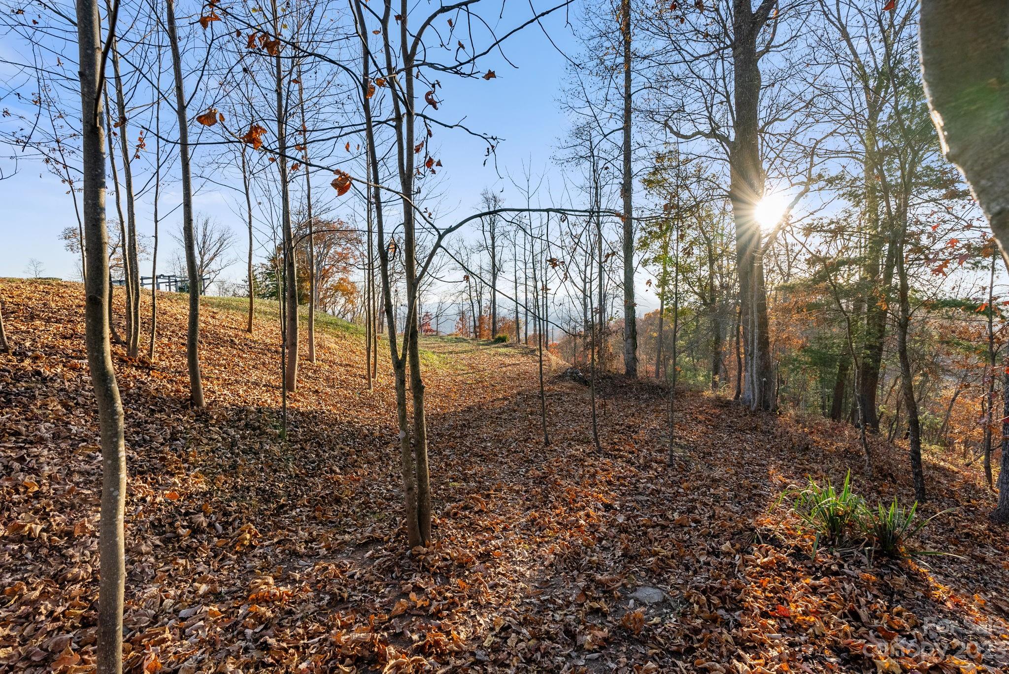 Beaucatcher Knoll - Land