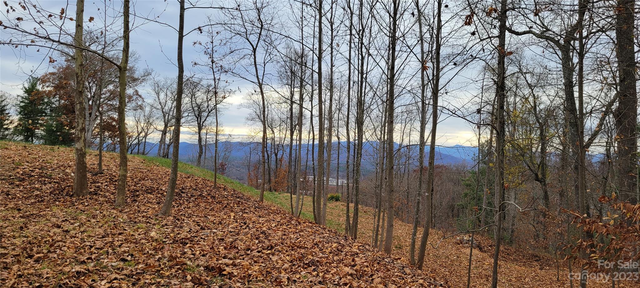 Beaucatcher Knoll - Land