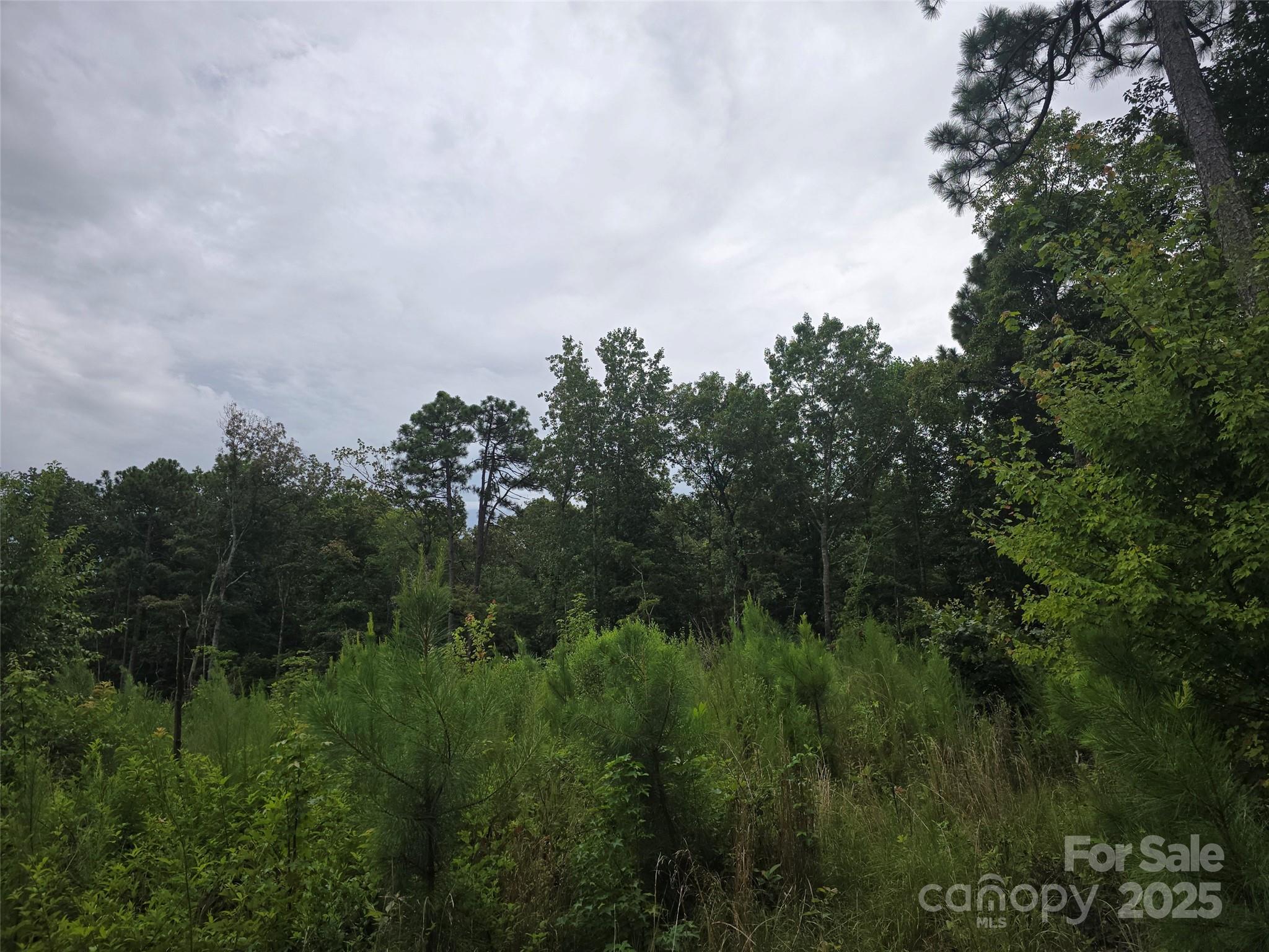 0 N NC 109 Highway