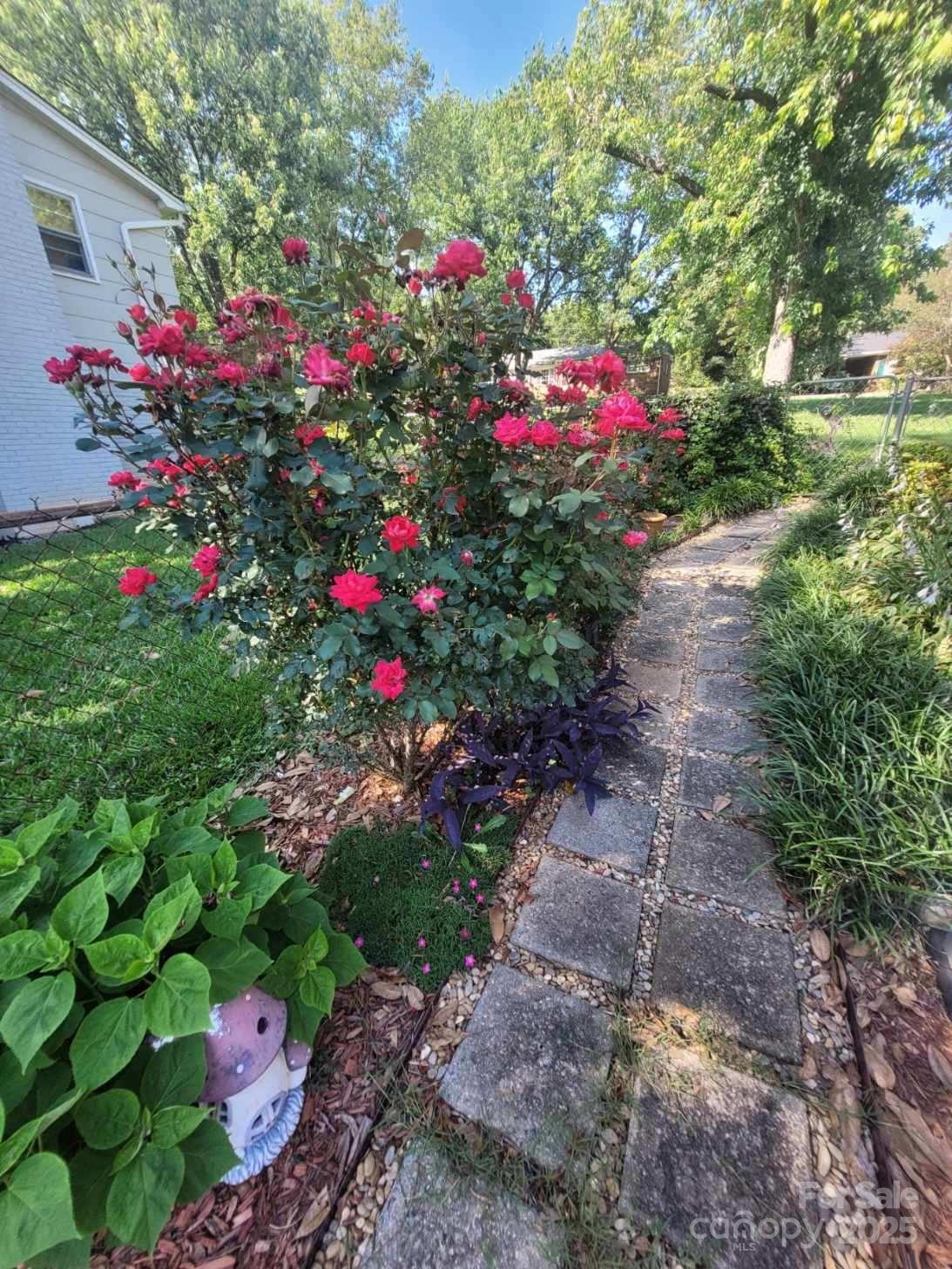 111 Redwood Lane