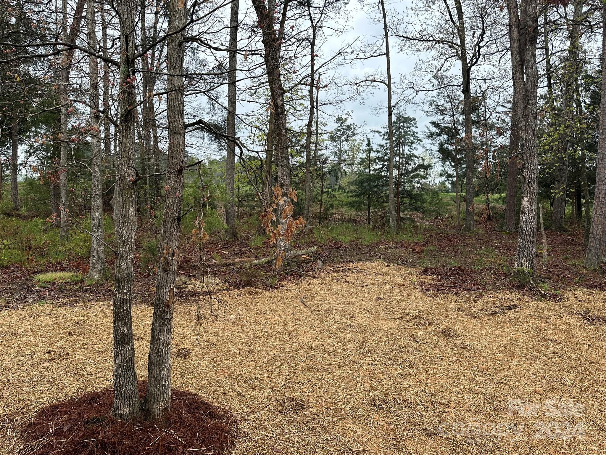 The Villages at Red Bridge - Residential