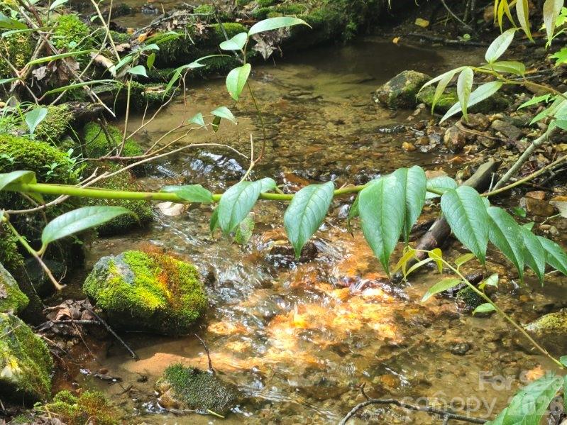 Indian Camp Mountain - Residential