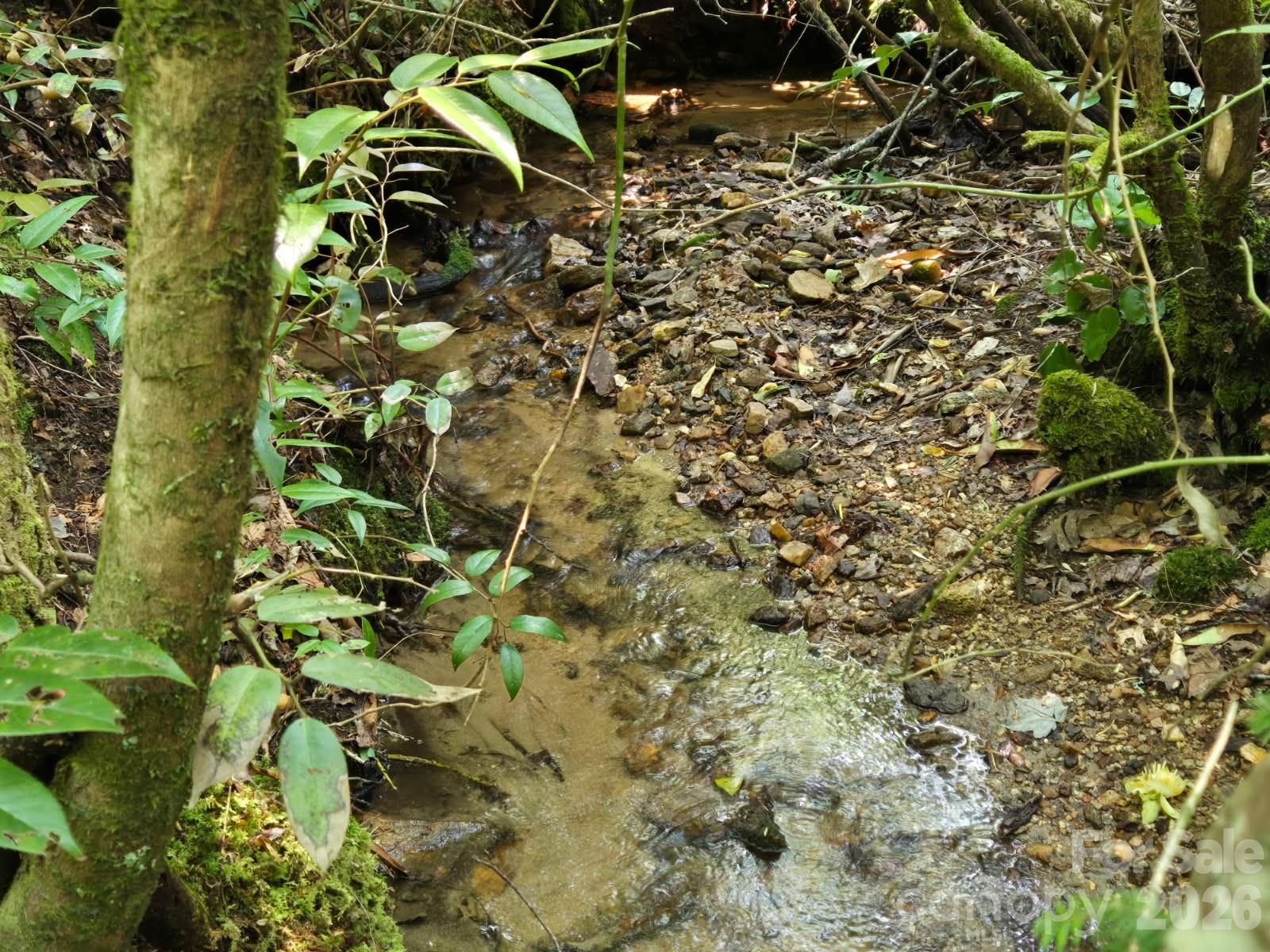 Indian Camp Mountain - Residential