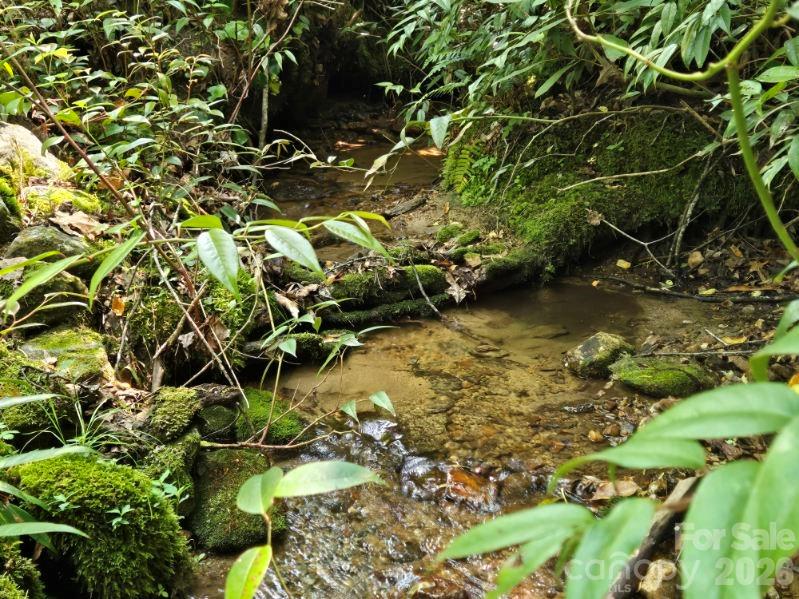 Indian Camp Mountain - Residential