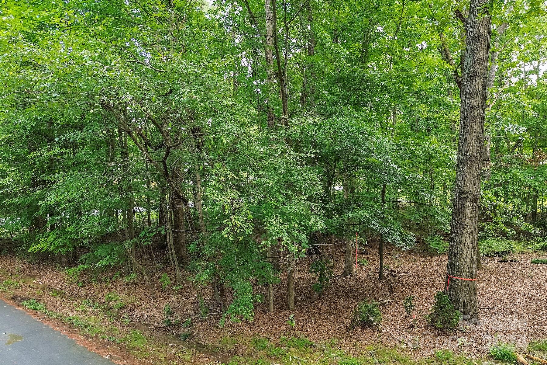 Anderson Heights - Land