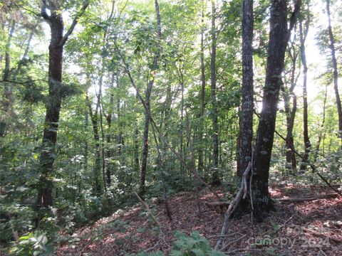 333 Timberlake Drive Bostic NC 28018