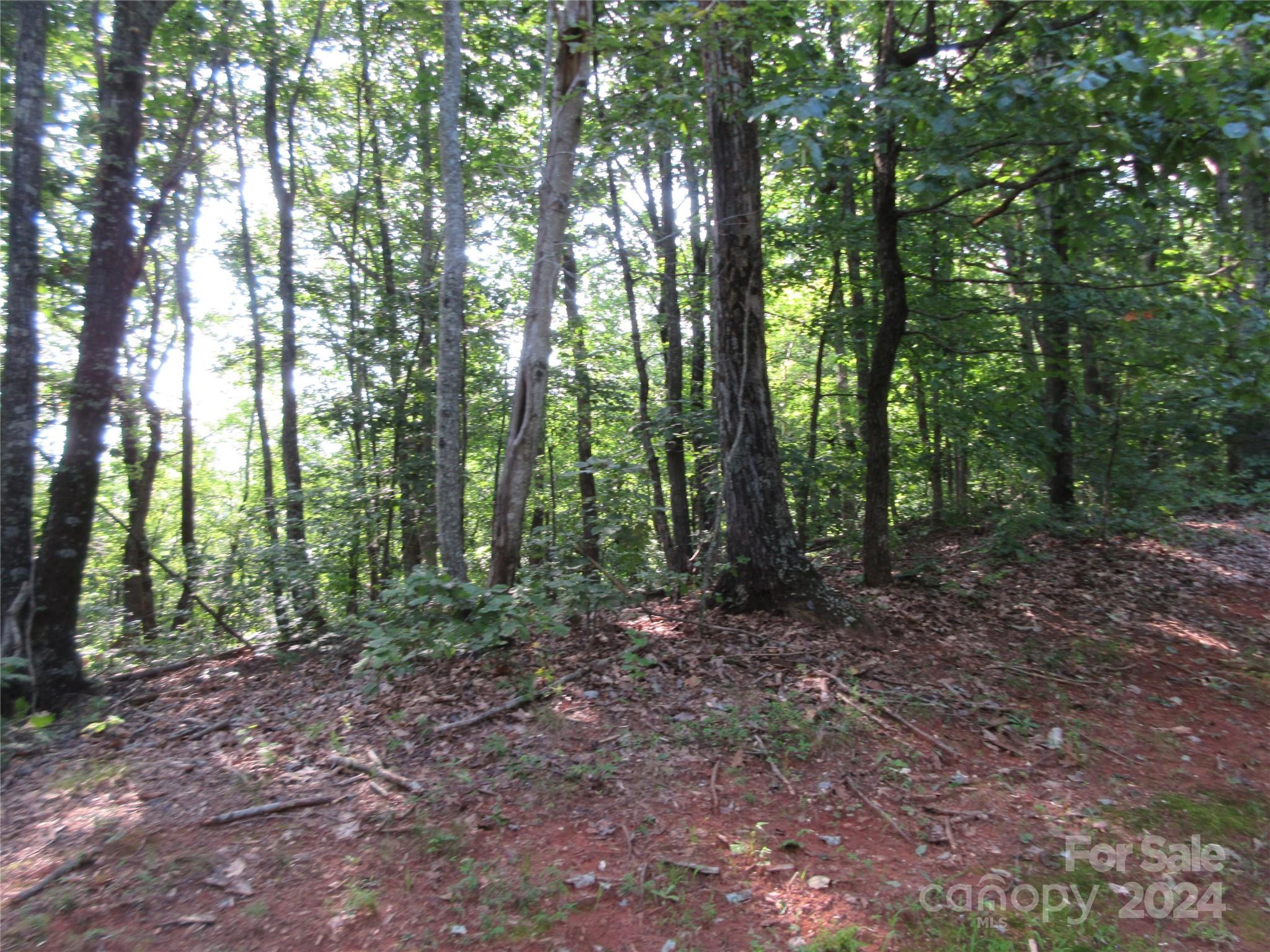 333 Timberlake Drive