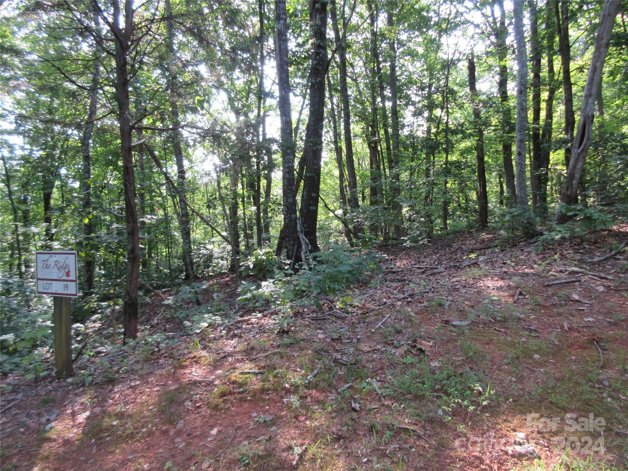 333 Timberlake Drive