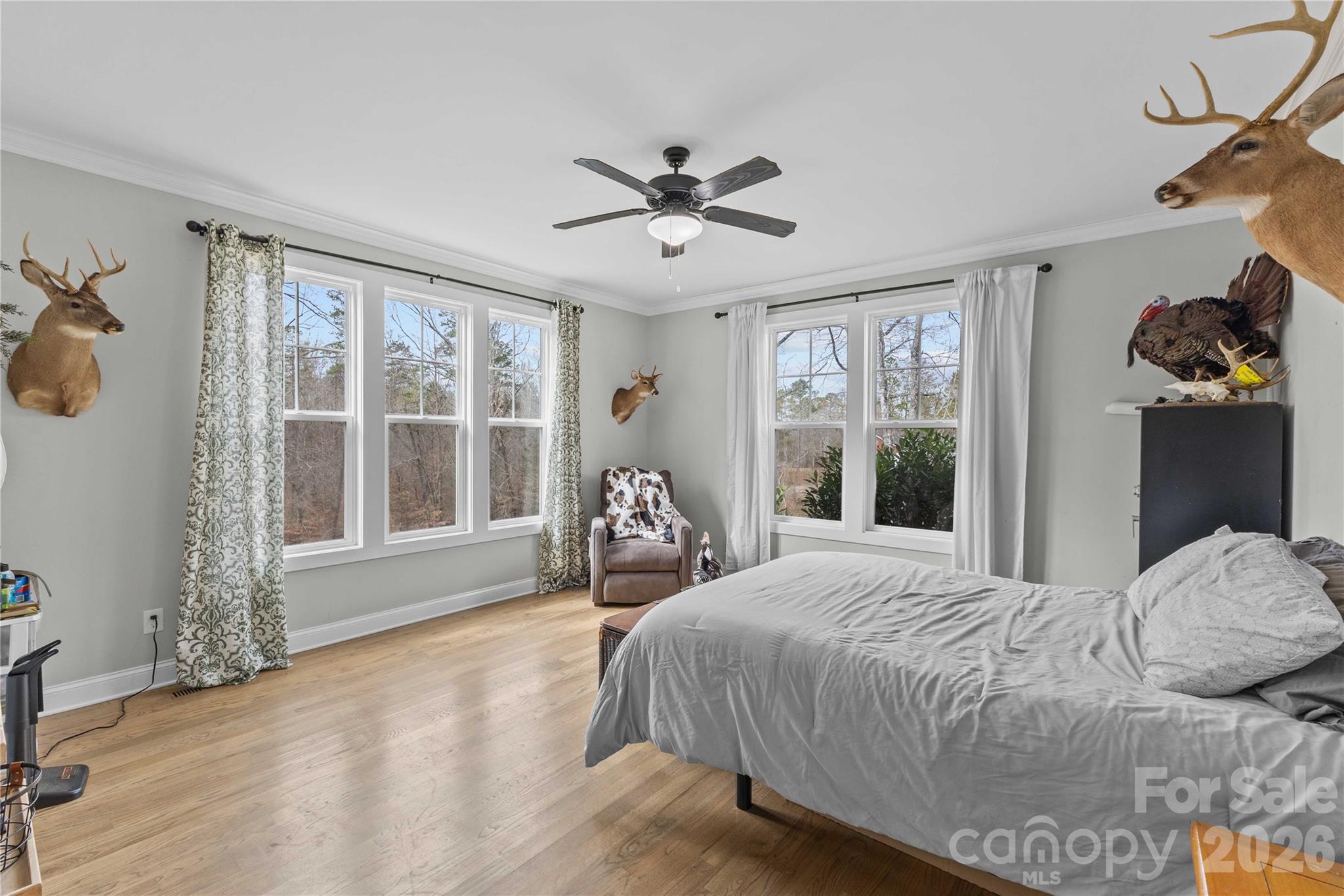 McBrayer Springs - Residential