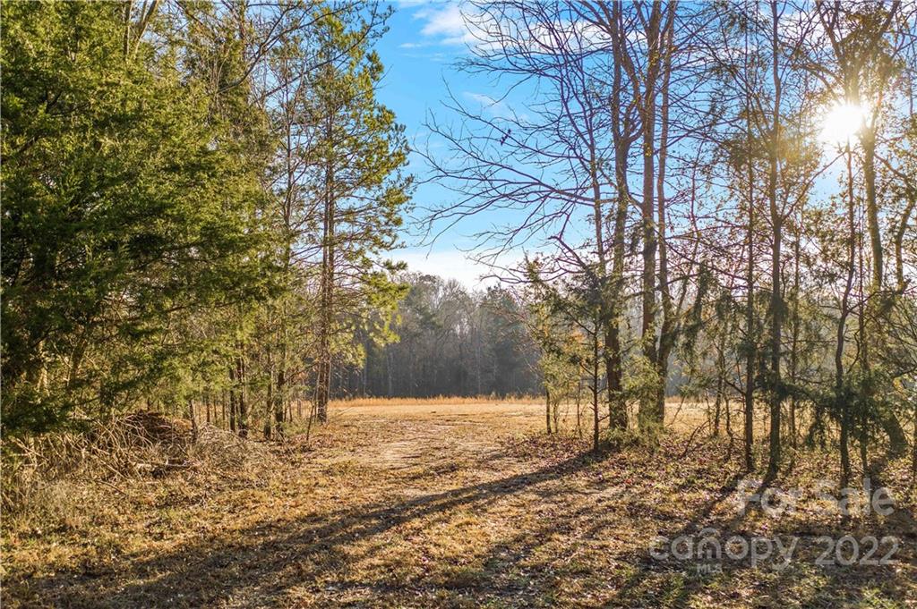 Forest Brook Estates - Land