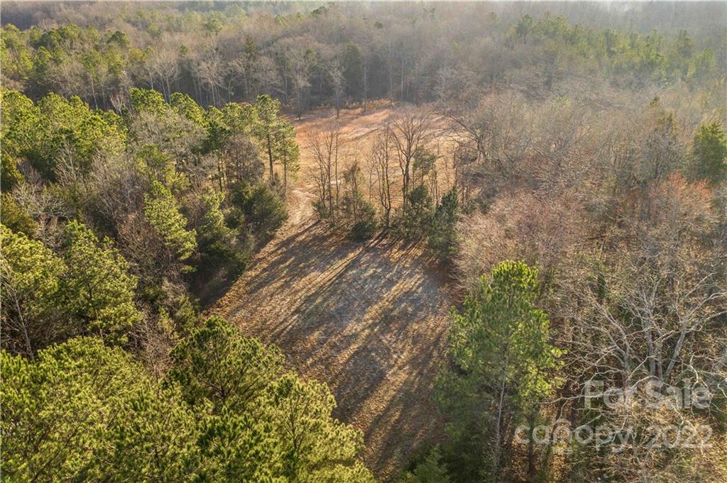 Forest Brook Estates - Land