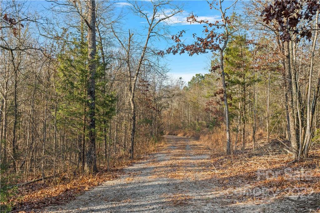 Forest Brook Estates - Land