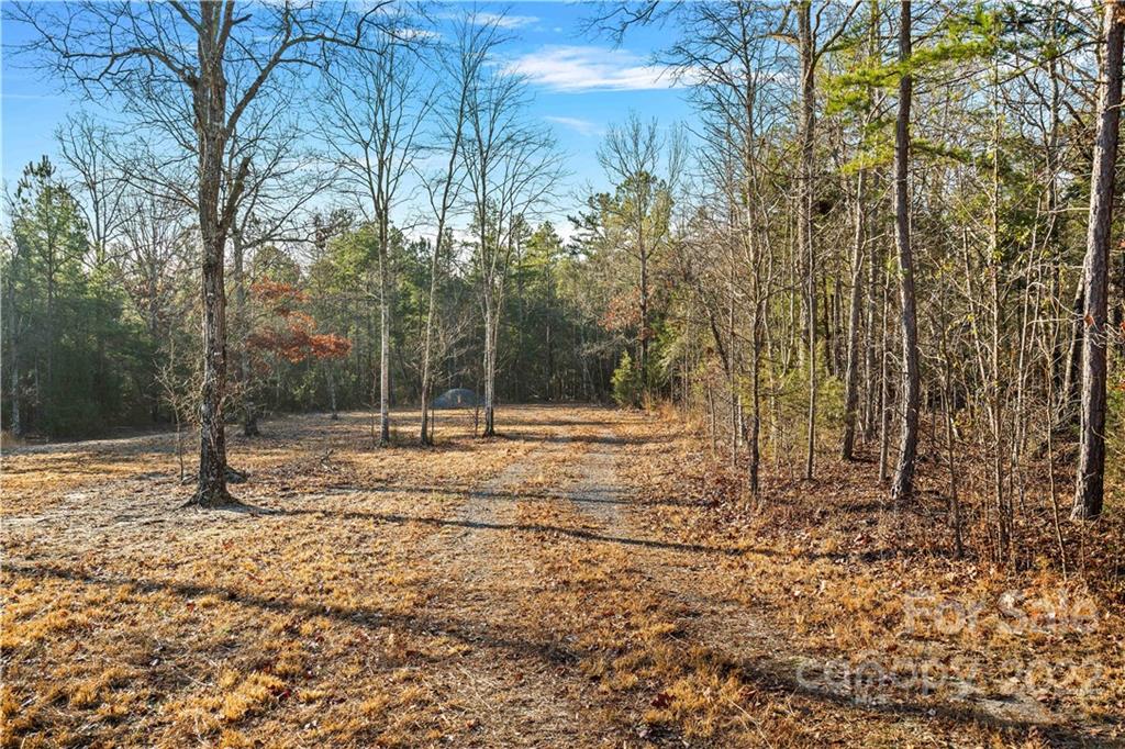 Forest Brook Estates - Land