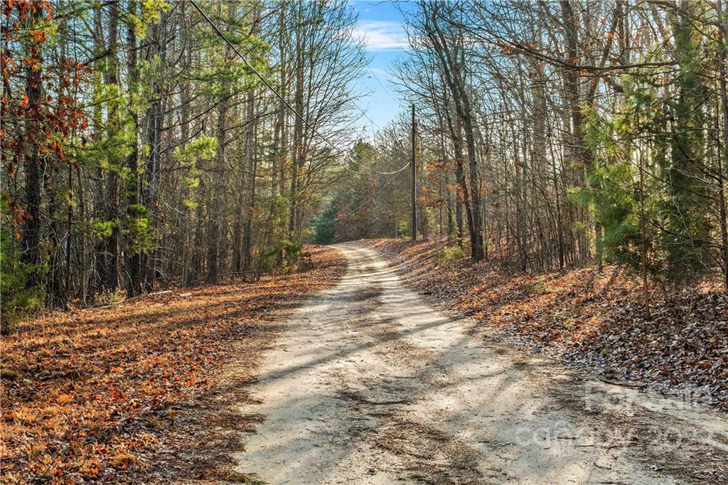 Forest Brook Estates - Land