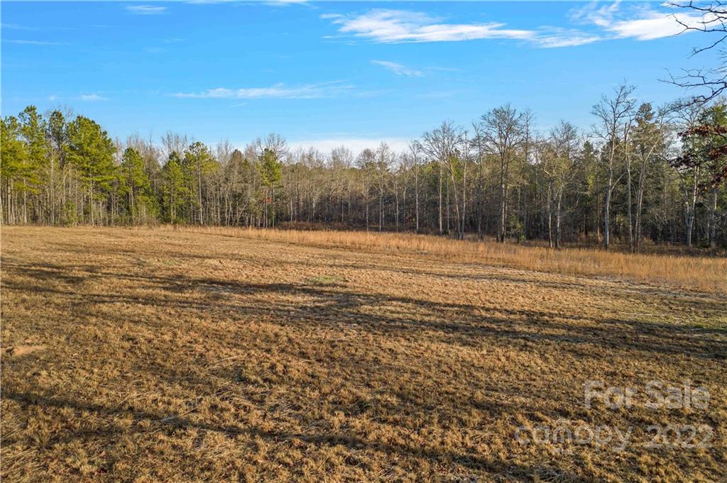 Forest Brook Estates - Land