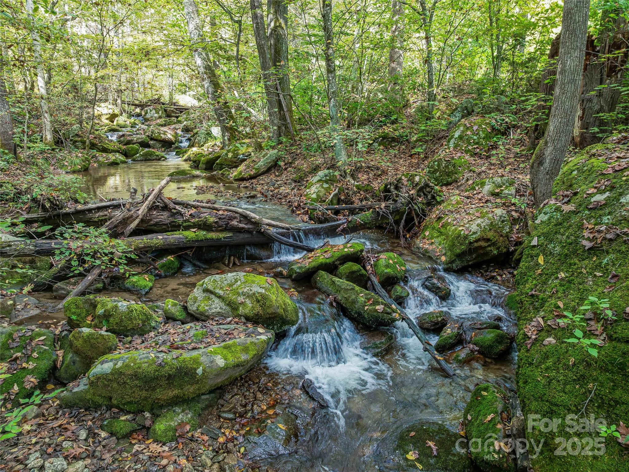 945 Roaring Fork Road