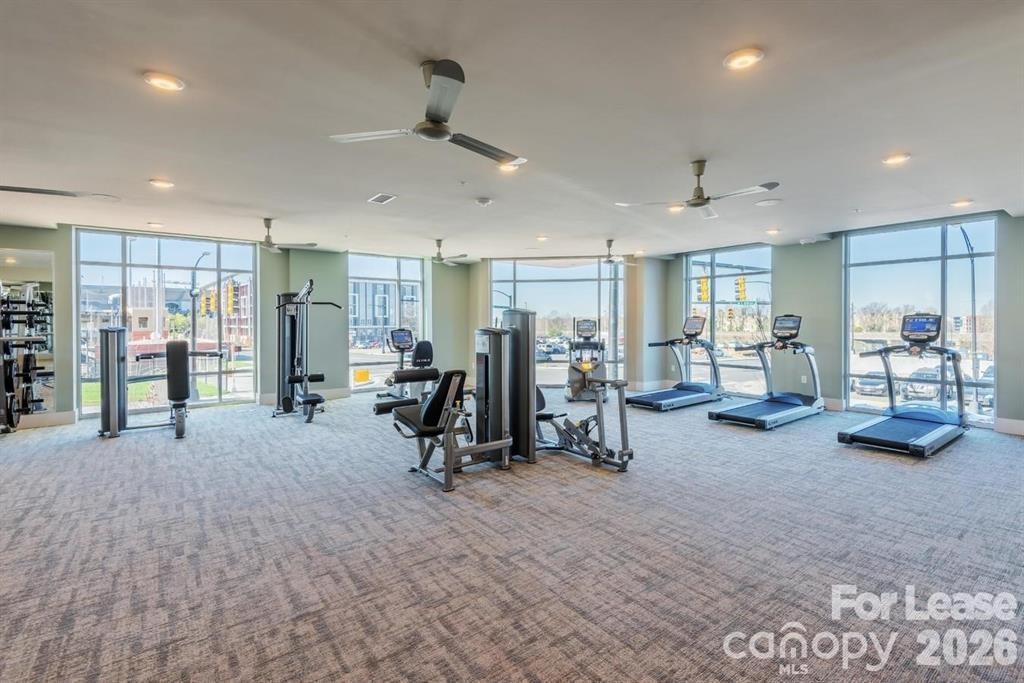 Third Ward - Residential Lease