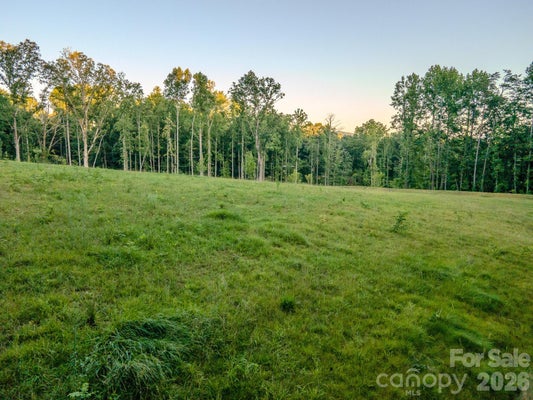 220 IRVIN ST, HILLSBOROUGH, NC 27278 - Image 8ab5cdf1aed4ce643d93deeeff3c0042/1050012571