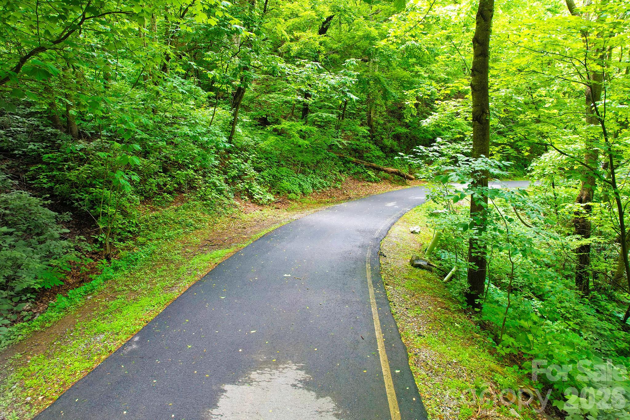 Laurel Ridge - Land