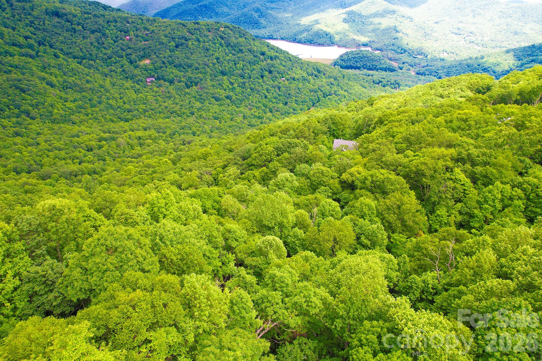 Laurel Ridge - Land