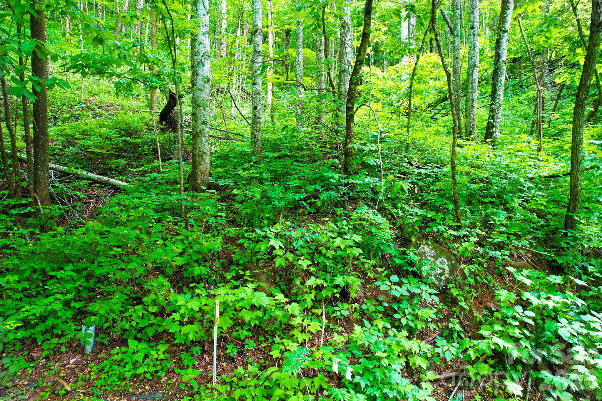 Laurel Ridge - Land