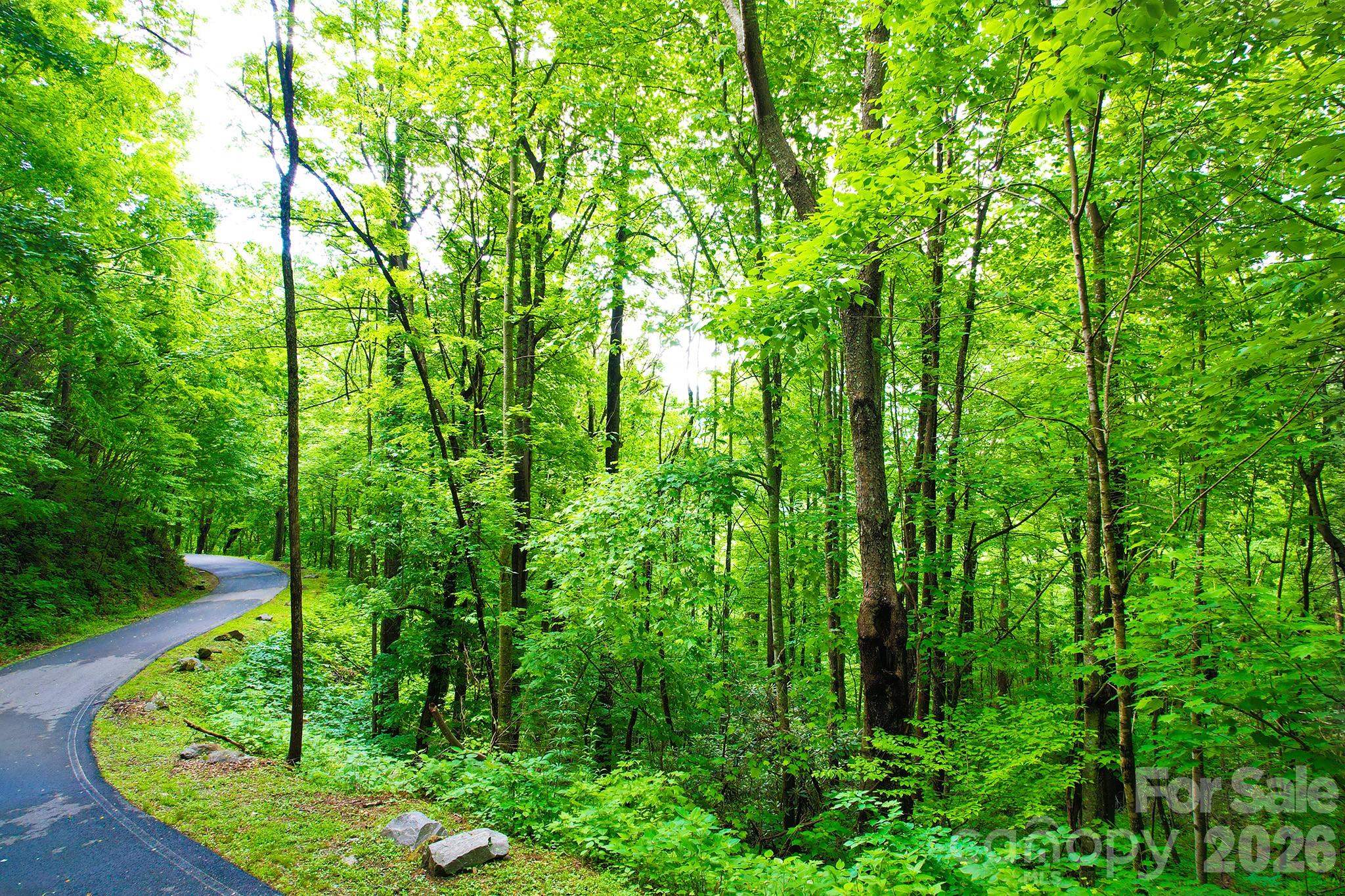 Laurel Ridge - Land