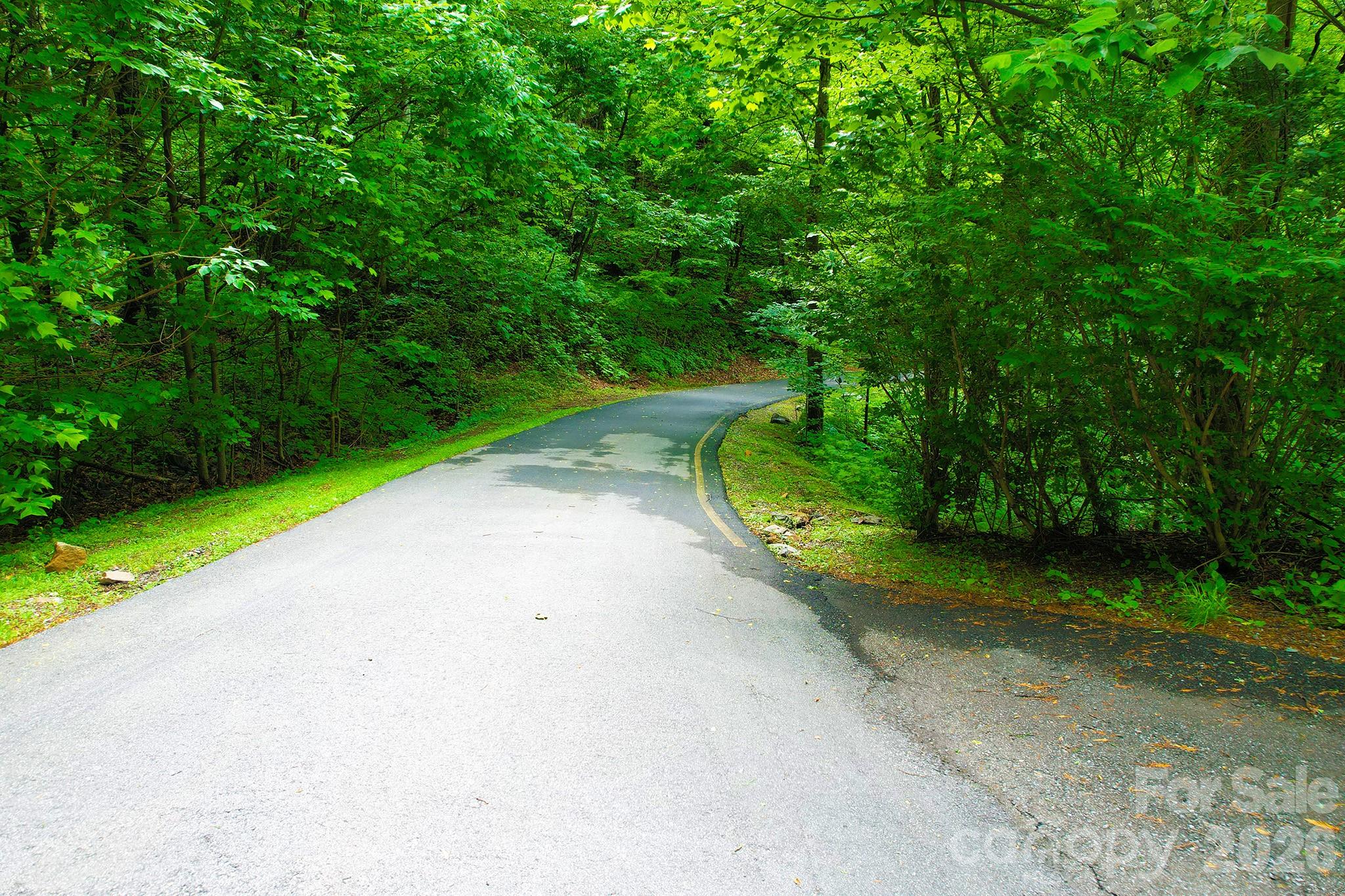 Laurel Ridge - Land