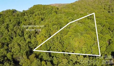 4 White Birch Court 422 Black Mountain NC 28711