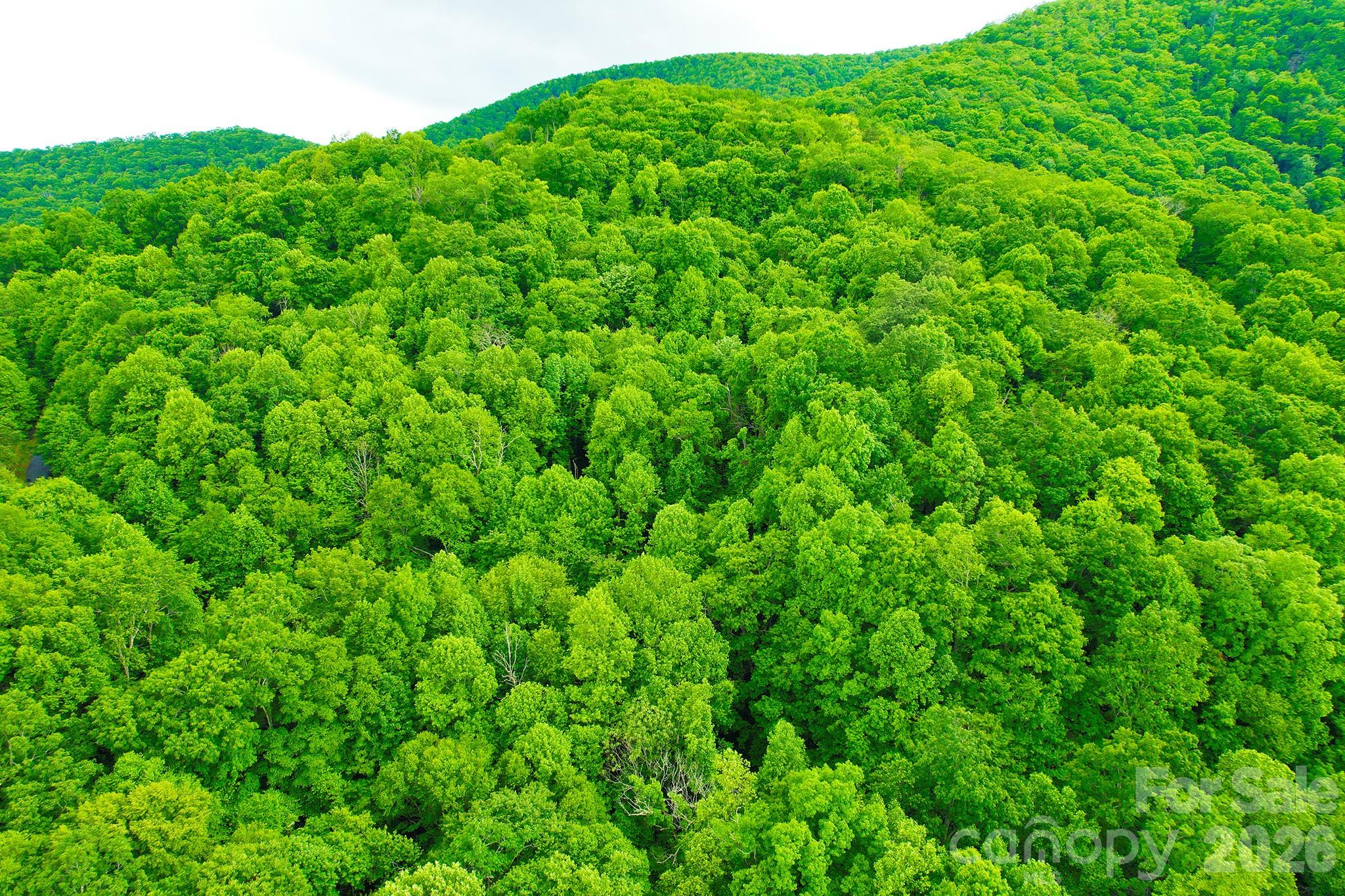 Laurel Ridge - Land