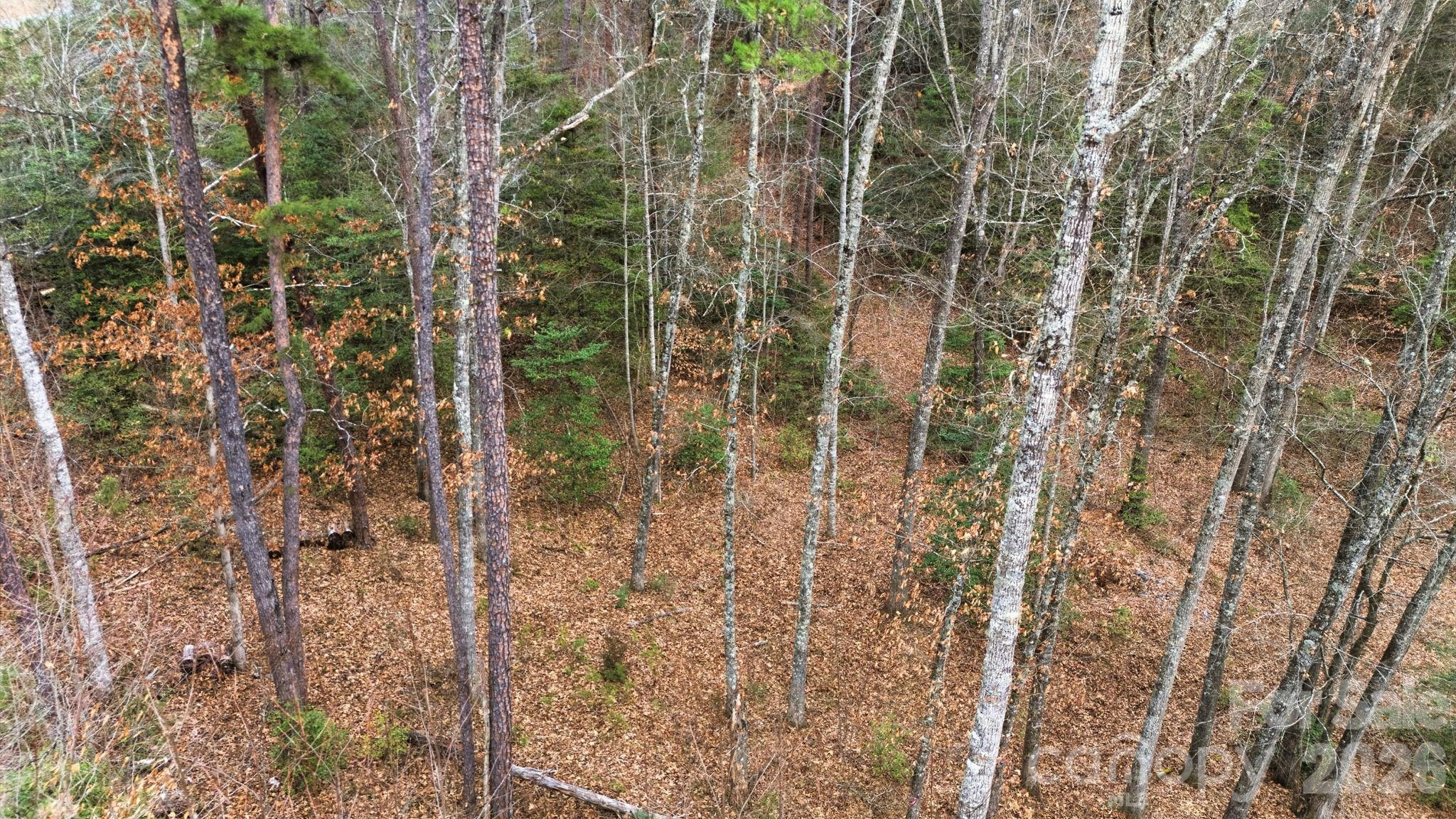 Cullowhee River Club - Land