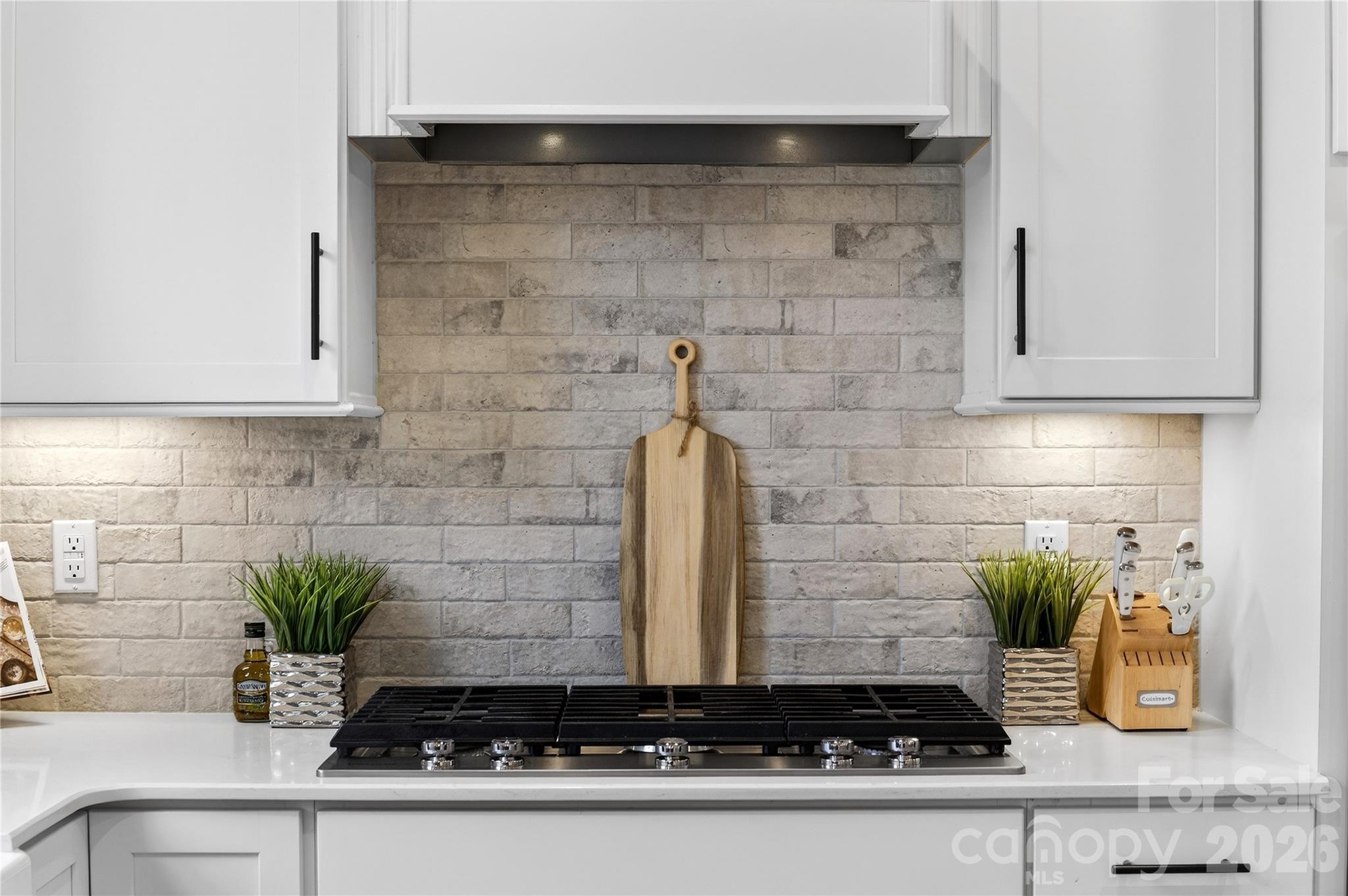 13832 Water Terrace Drive