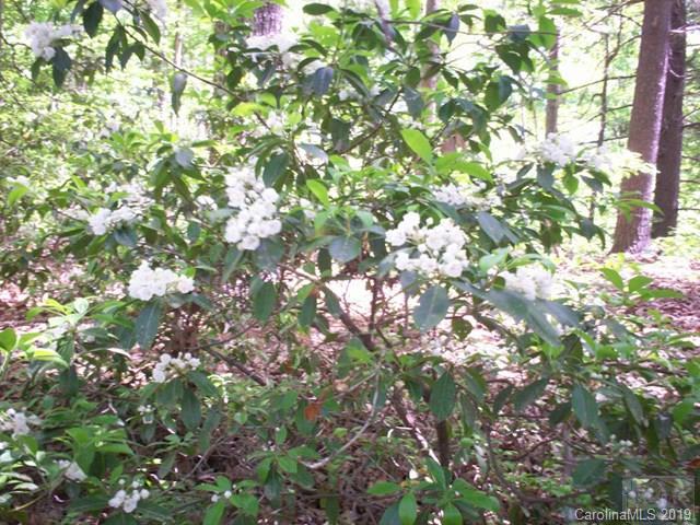 Rutherford College/Valdese - Residential